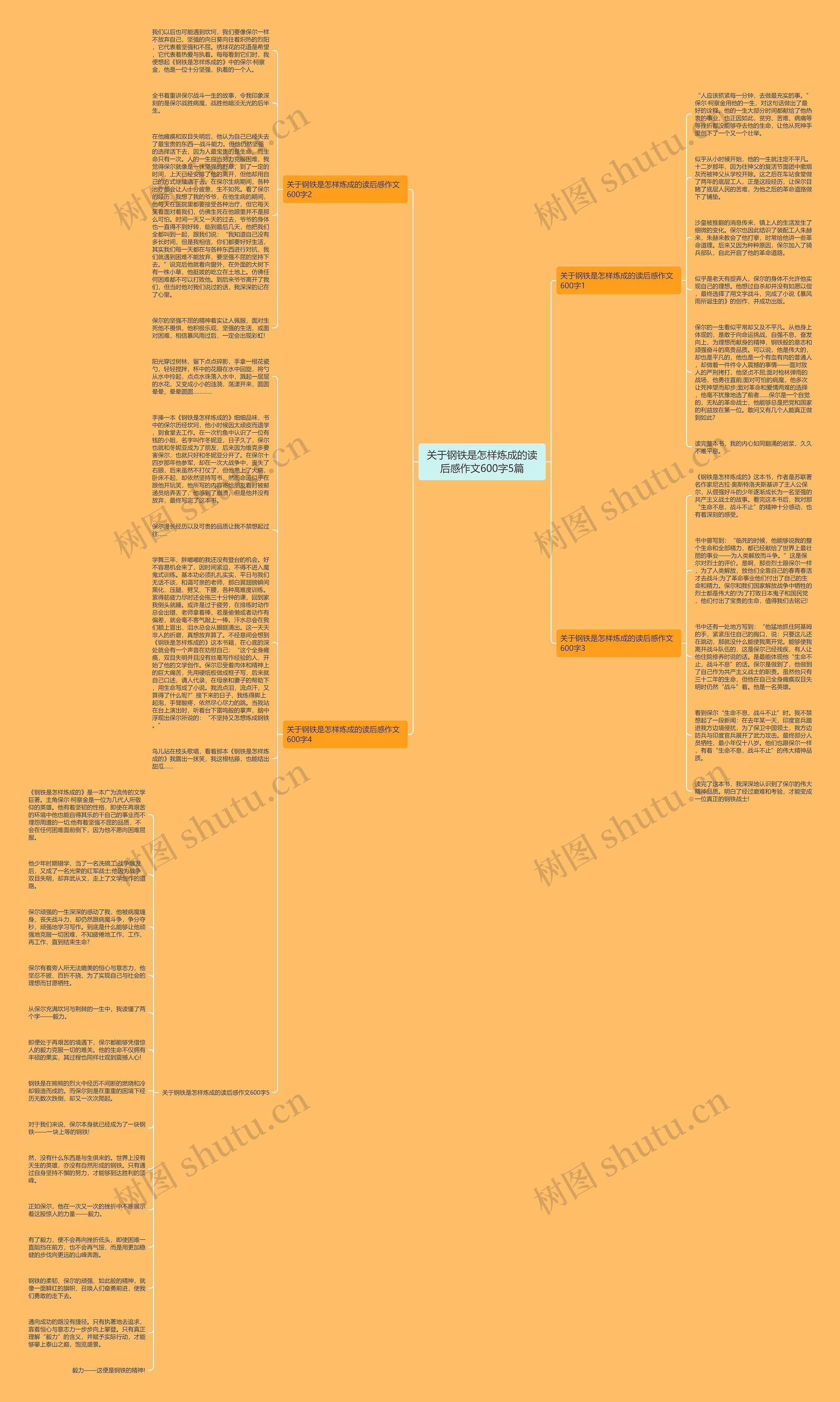 关于钢铁是怎样炼成的读后感作文600字5篇思维导图