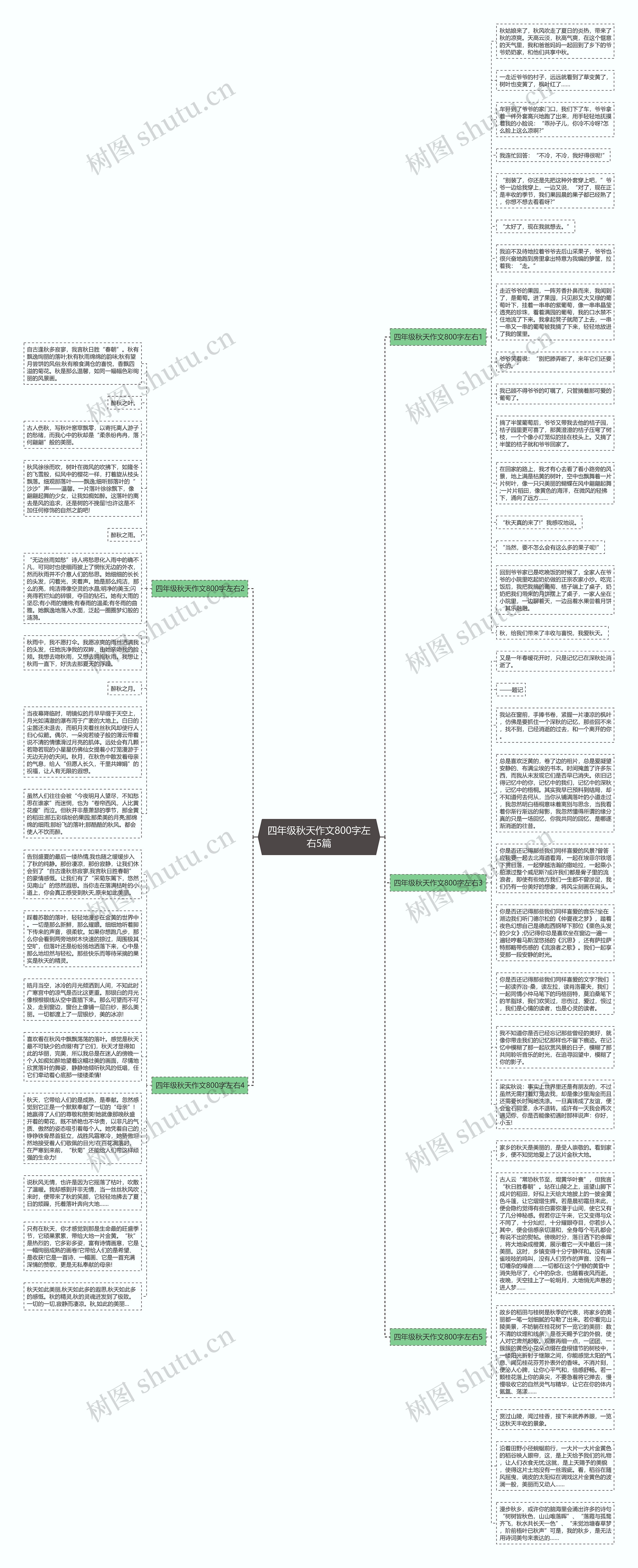 四年级秋天作文800字左右5篇