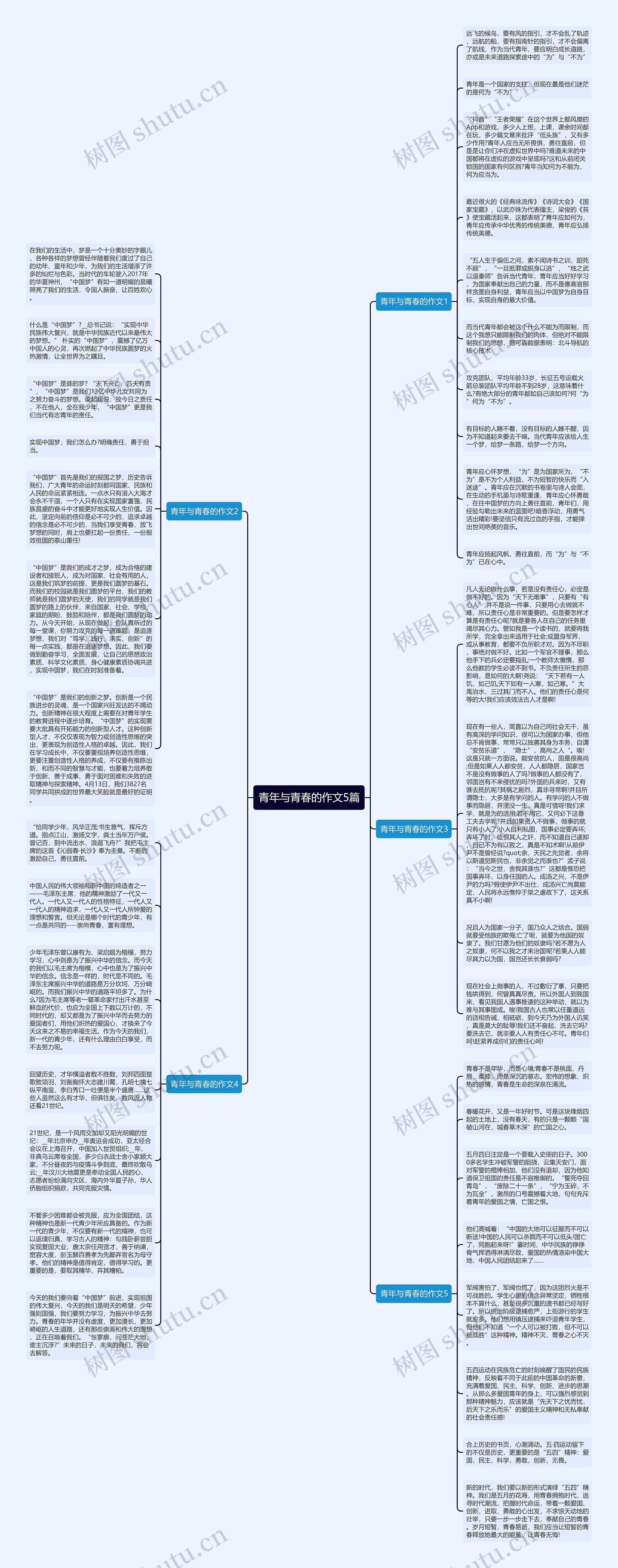 青年与青春的作文5篇思维导图