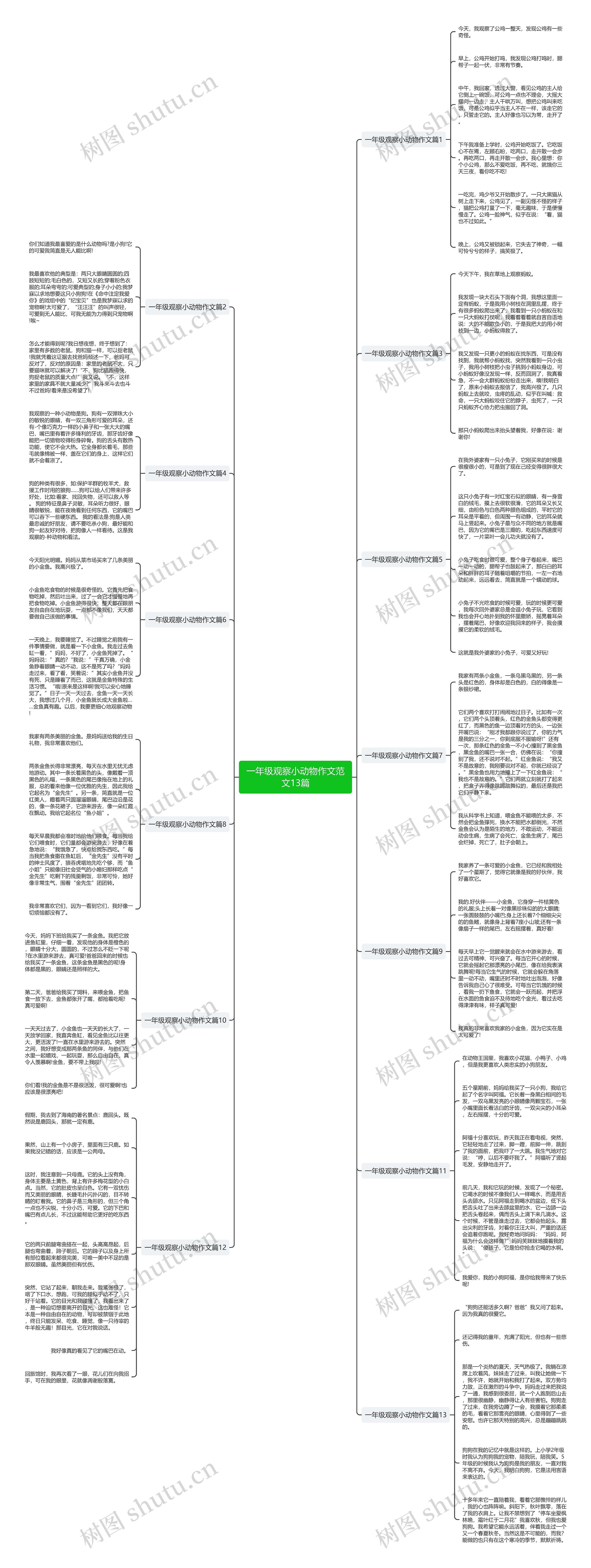 一年级观察小动物作文范文13篇思维导图