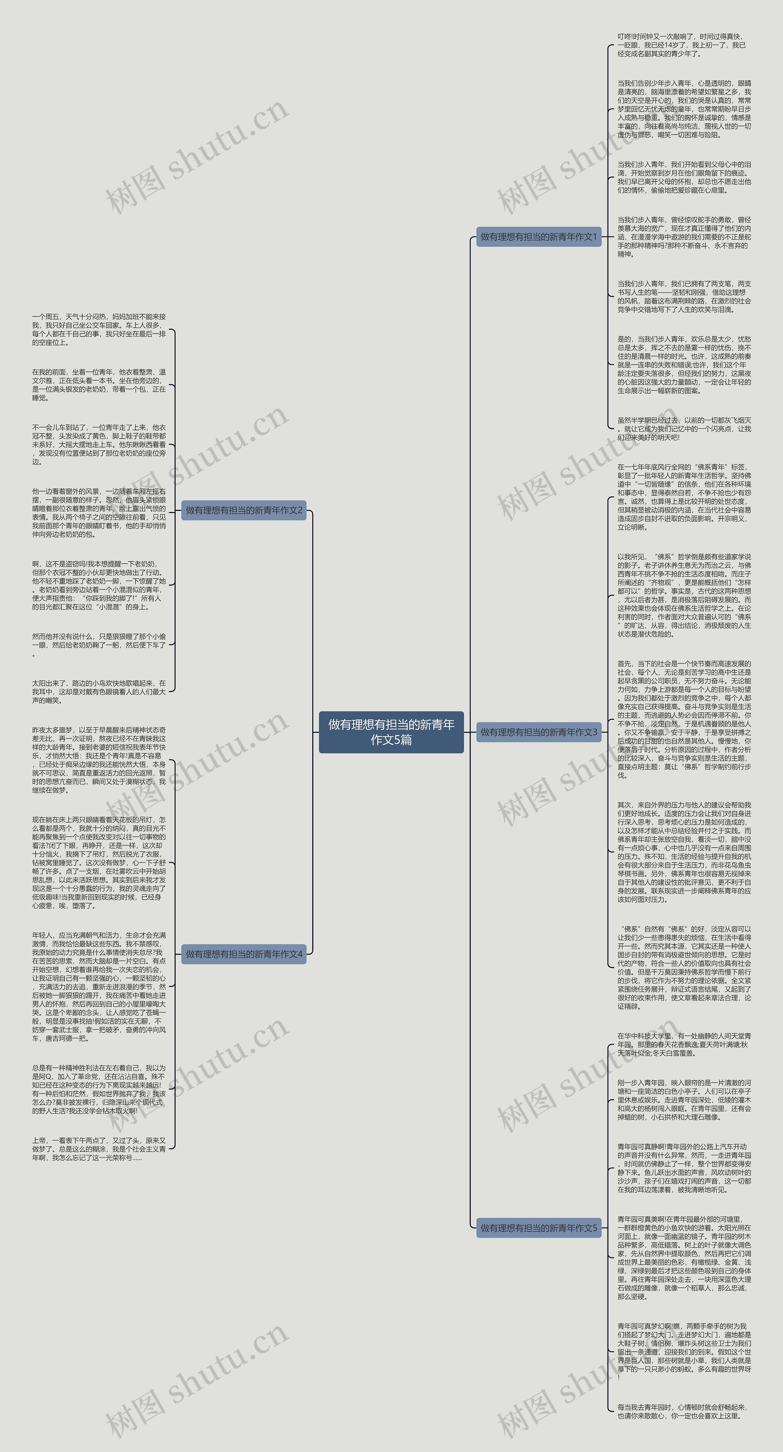 做有理想有担当的新青年作文5篇思维导图