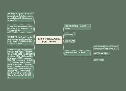 2019年6月英语四级词汇考点：wellness