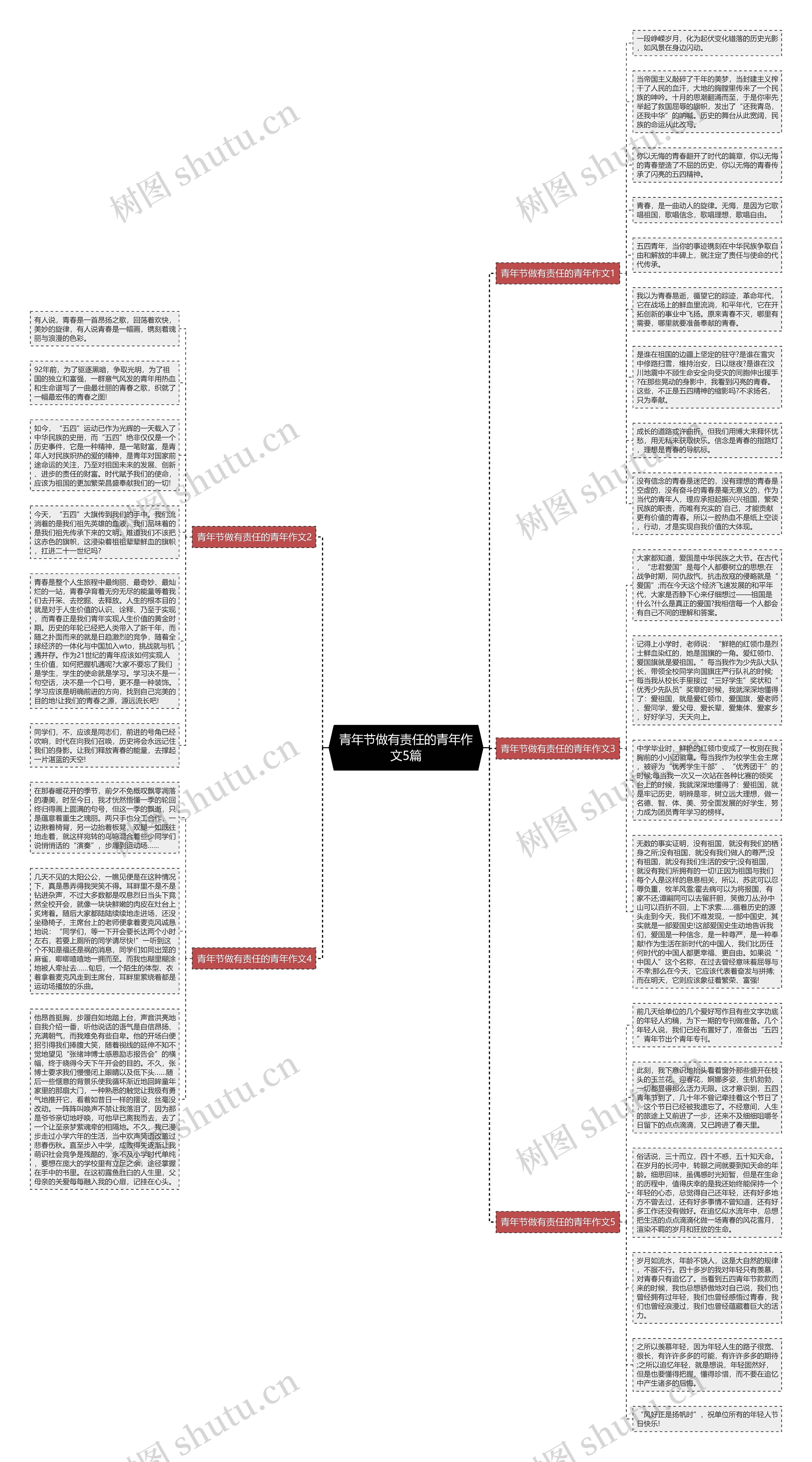 青年节做有责任的青年作文5篇思维导图