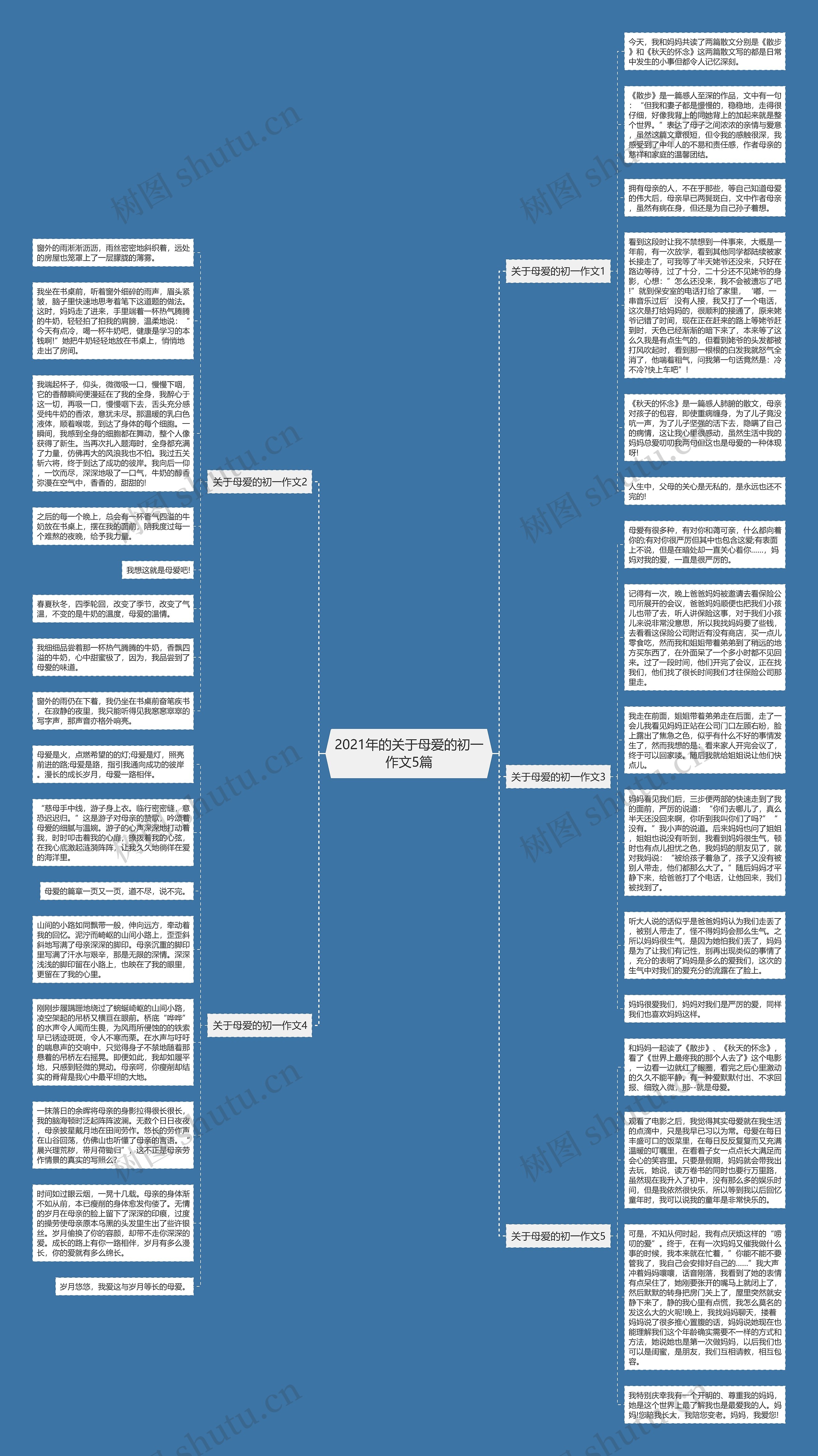 2021年的关于母爱的初一作文5篇思维导图