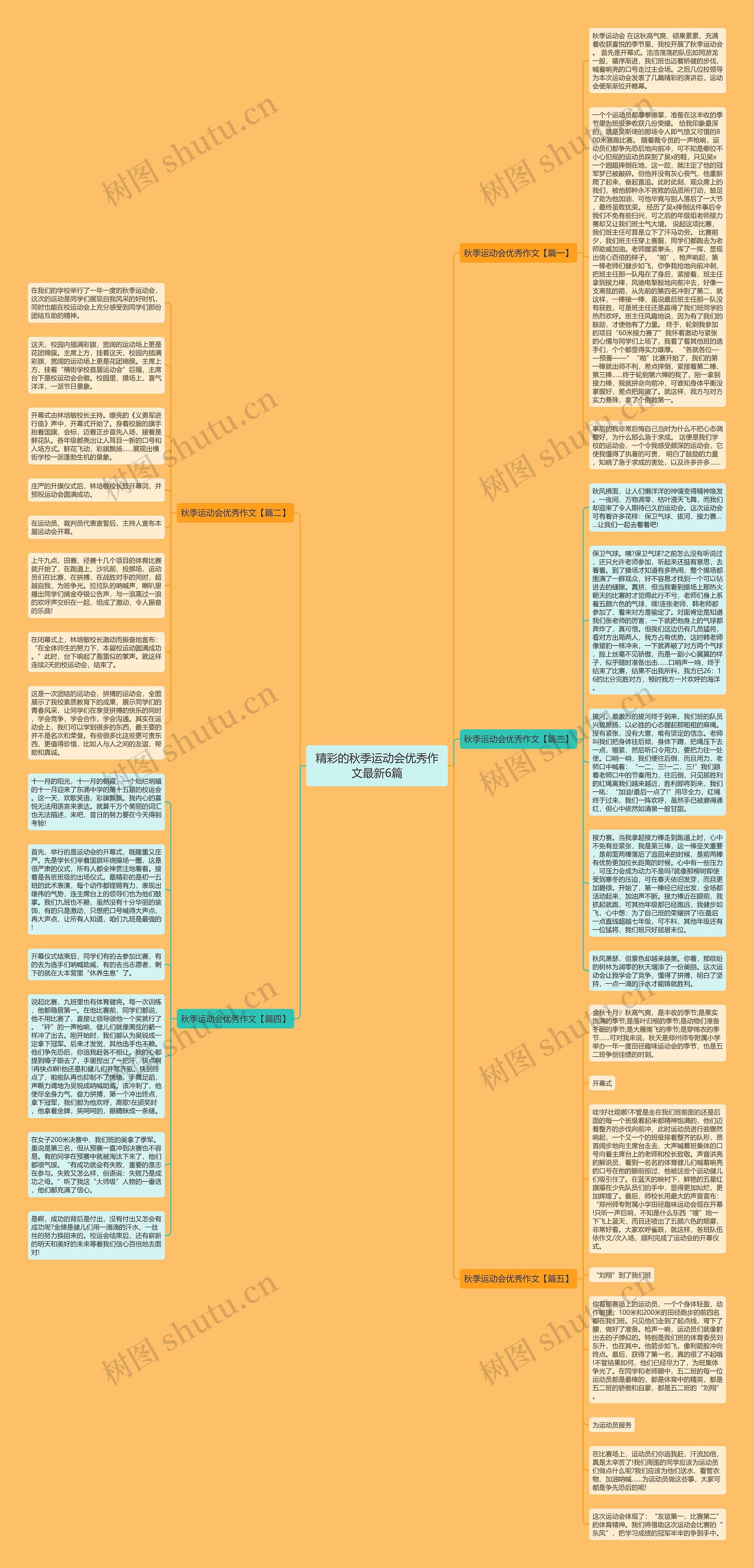 精彩的秋季运动会优秀作文最新6篇思维导图