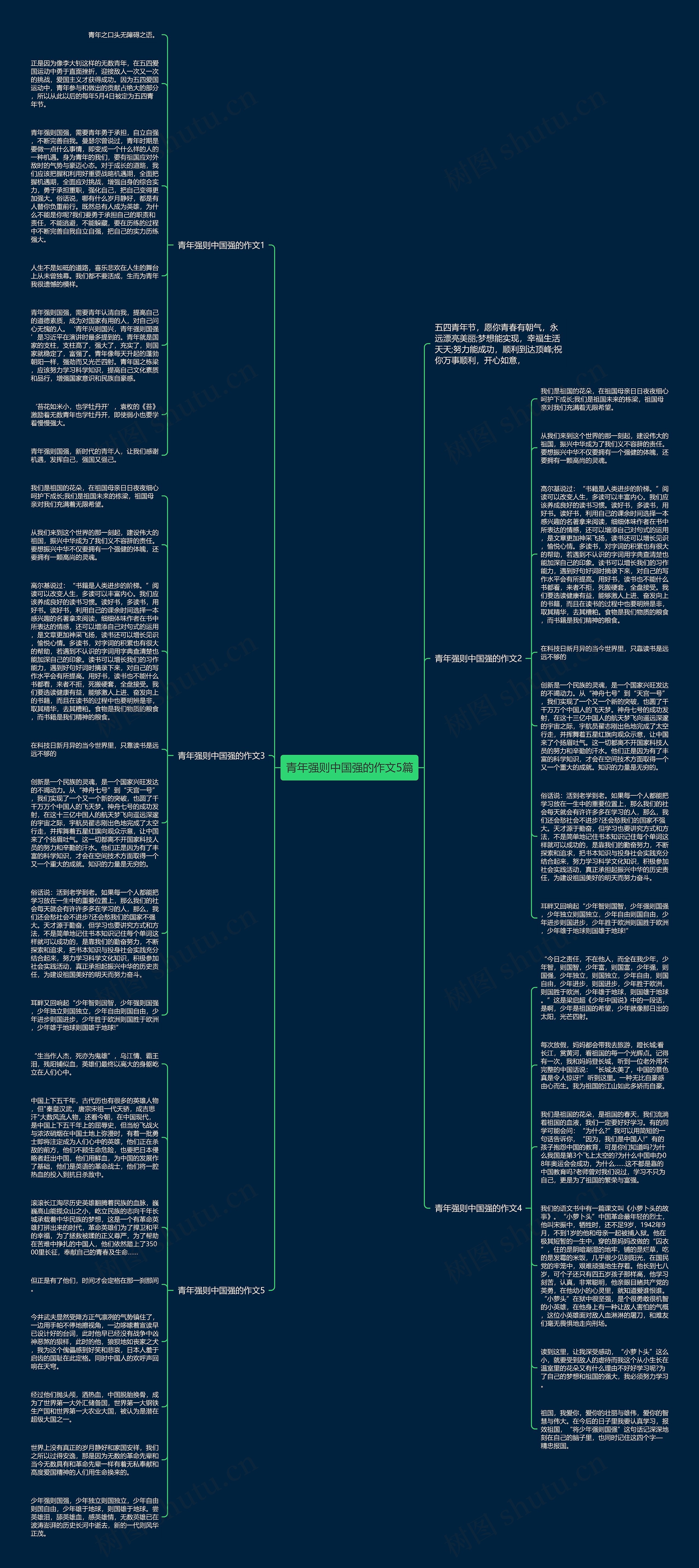 青年强则中国强的作文5篇思维导图