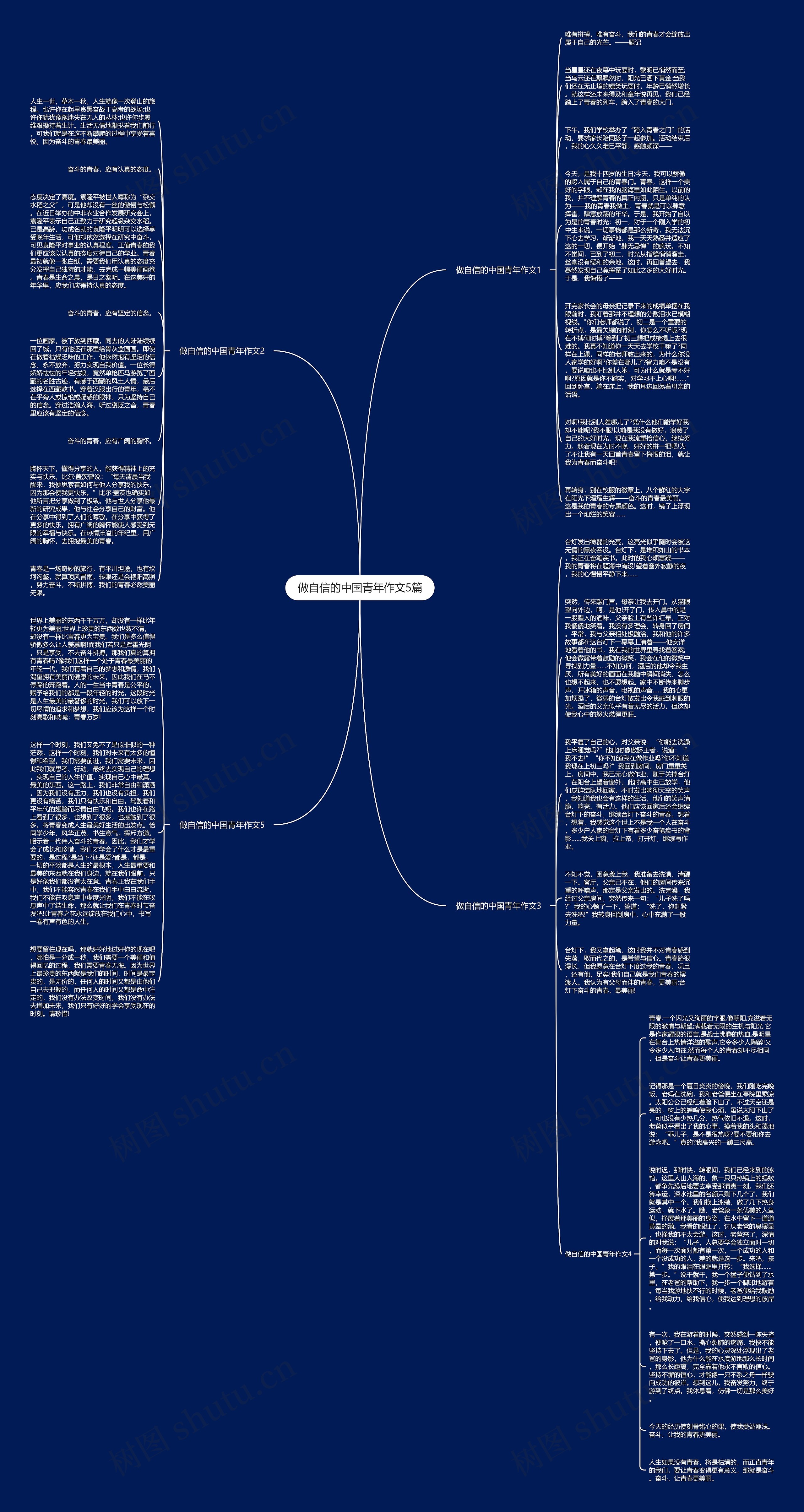 做自信的中国青年作文5篇思维导图