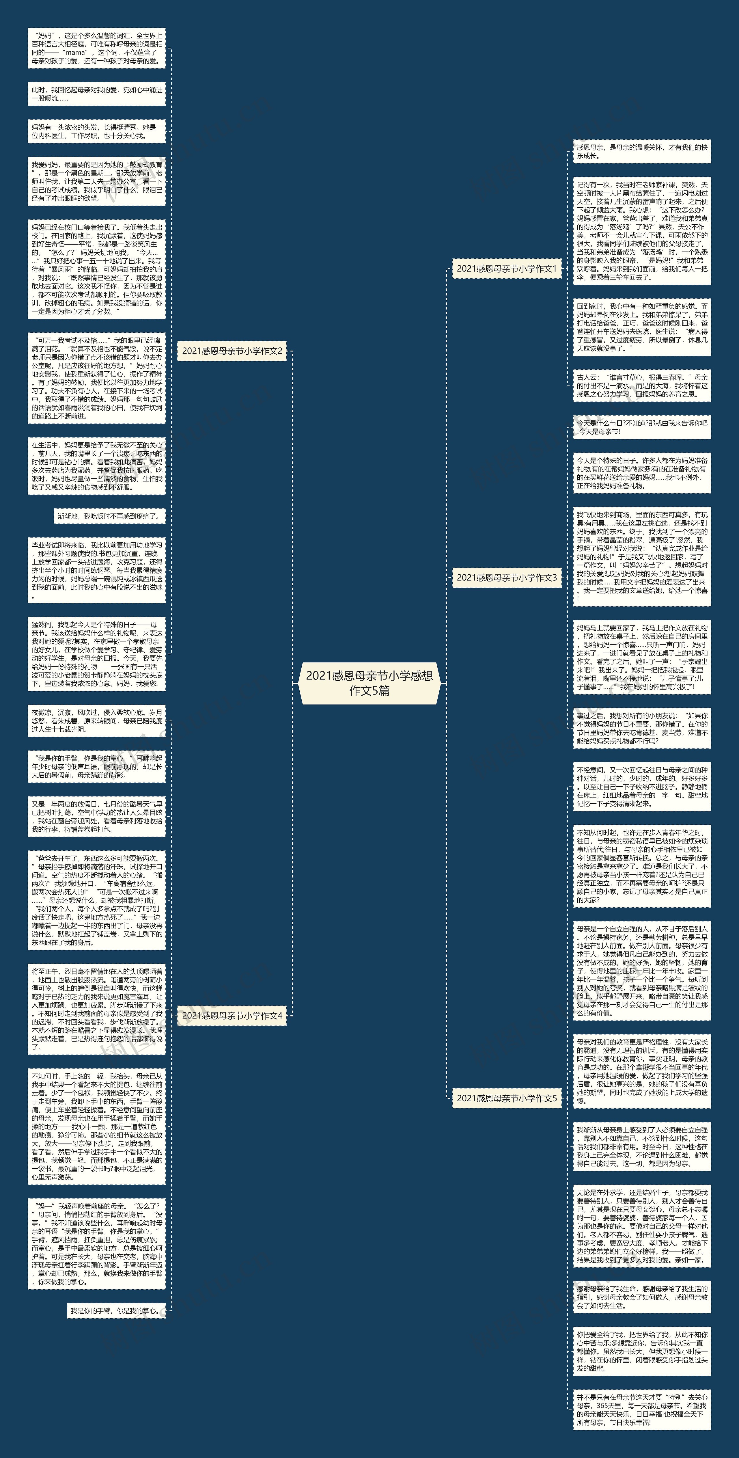 2021感恩母亲节小学感想作文5篇思维导图