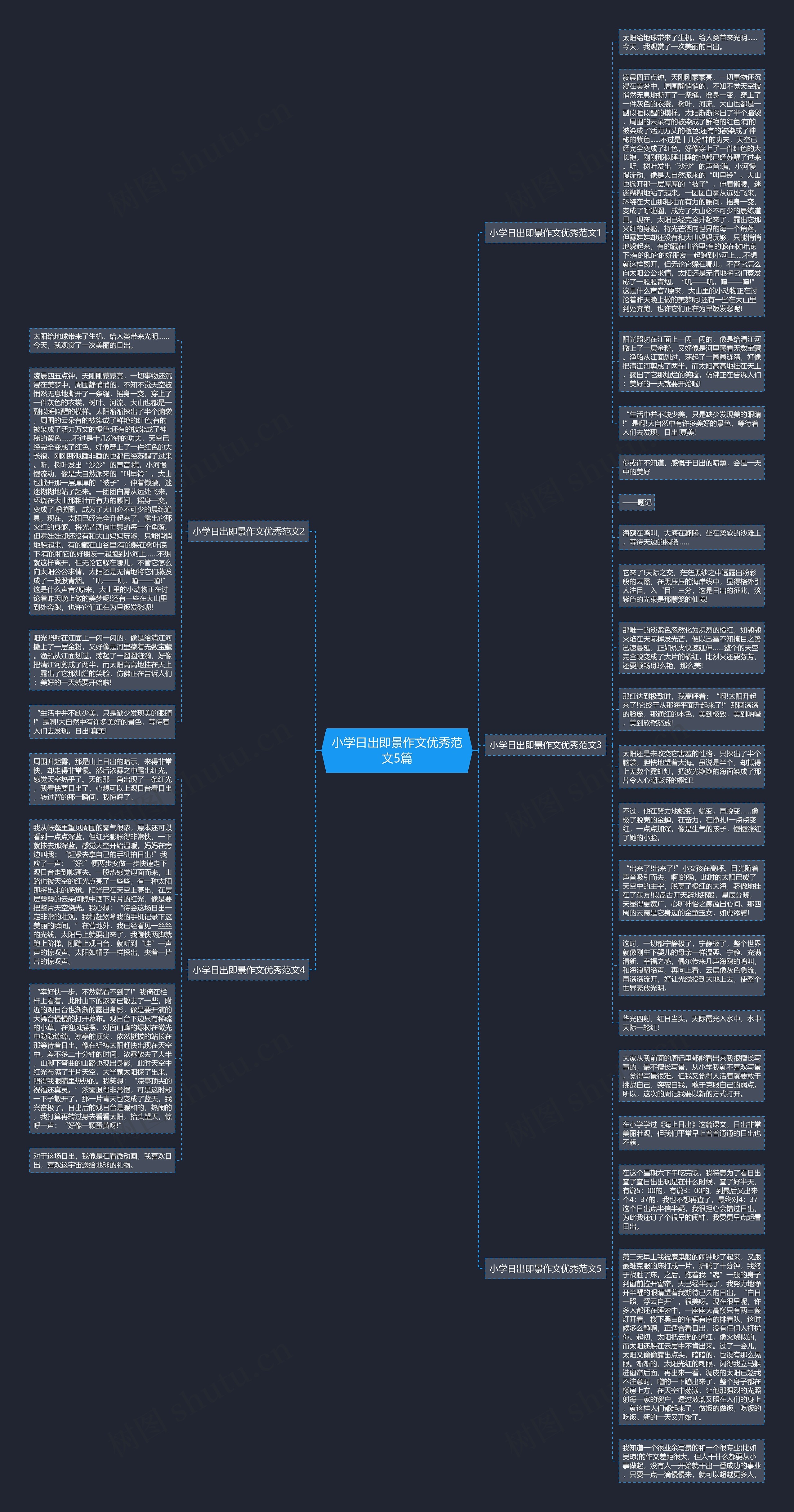 小学日出即景作文优秀范文5篇
