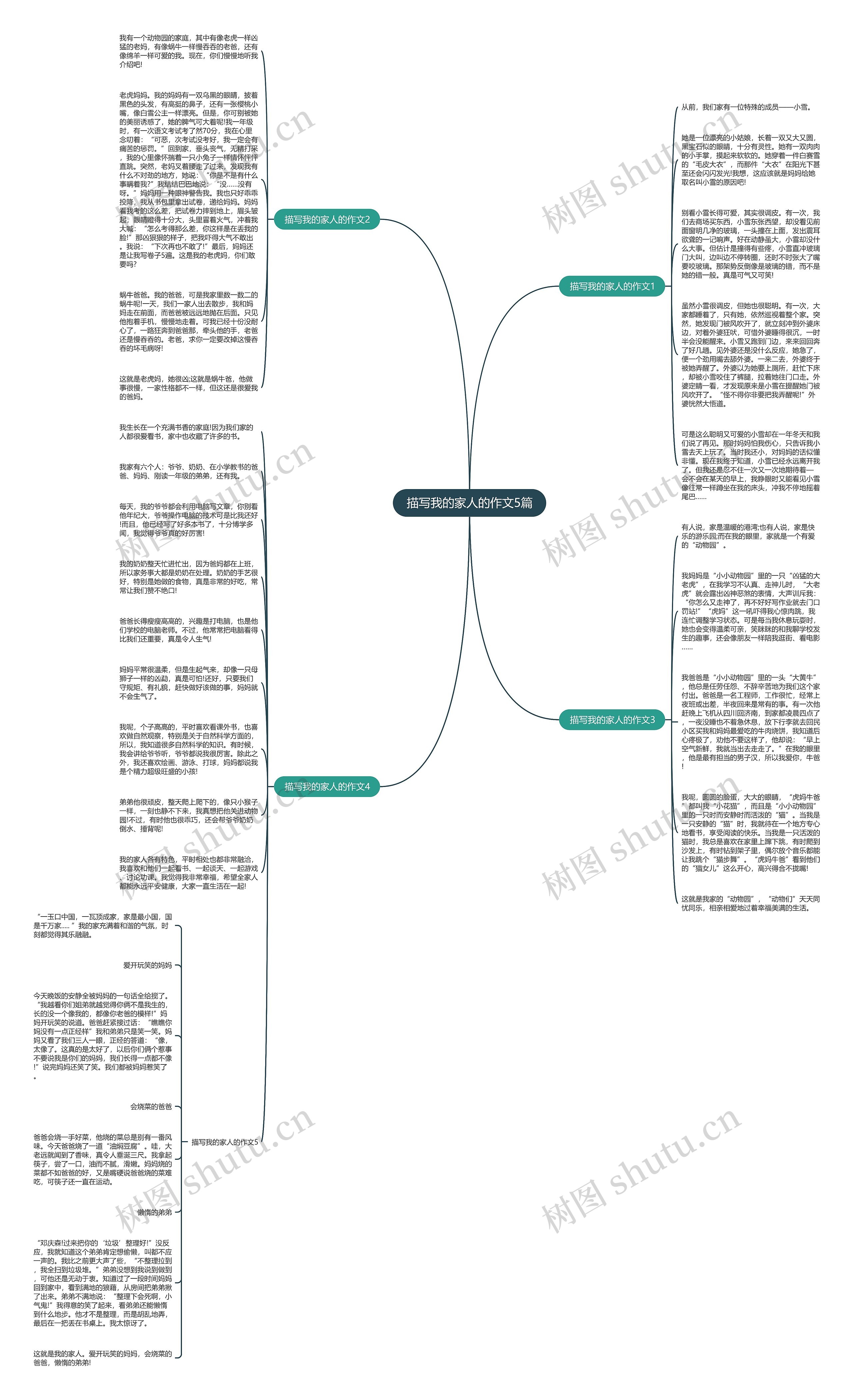 描写我的家人的作文5篇思维导图