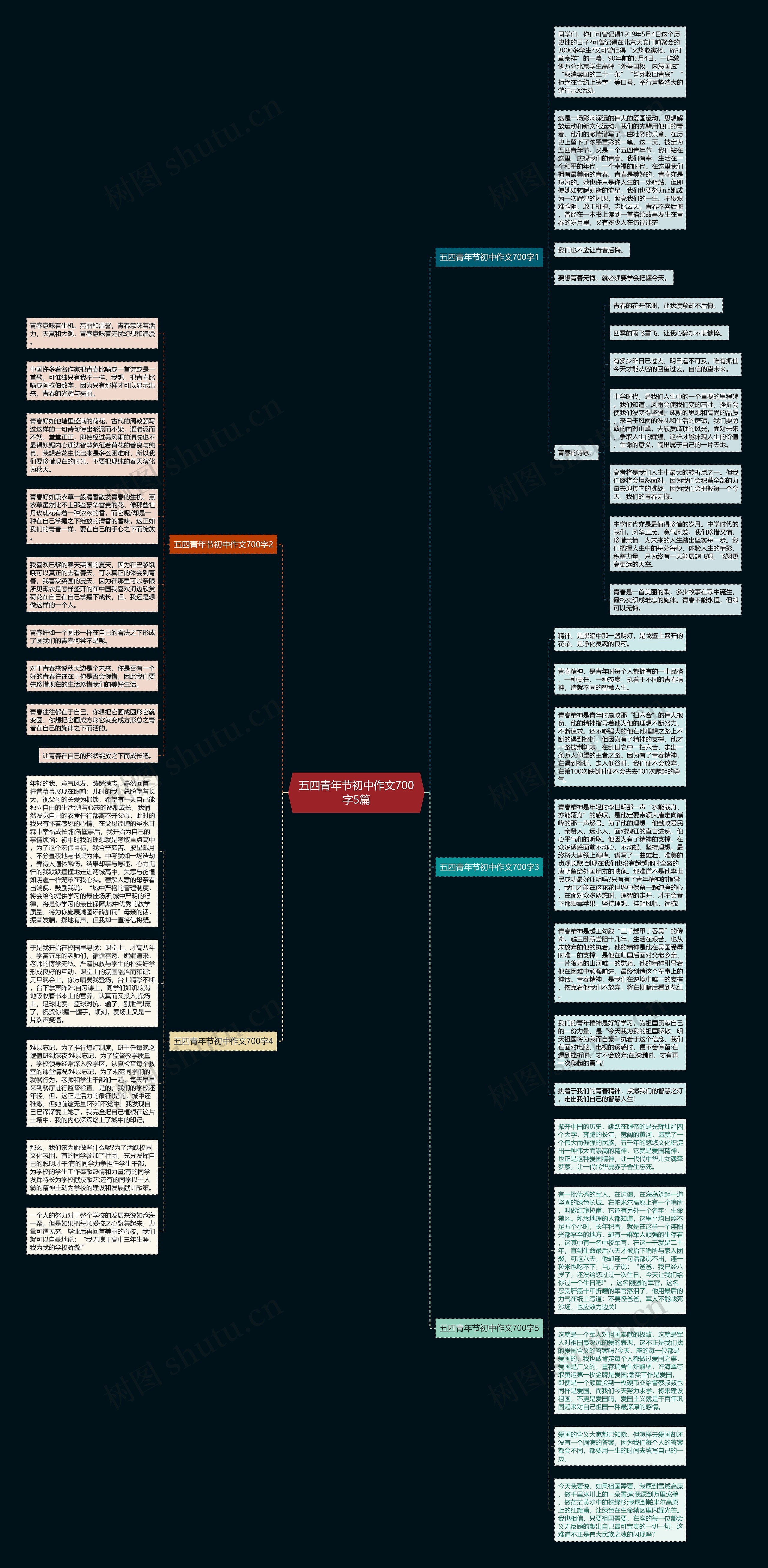 五四青年节初中作文700字5篇思维导图