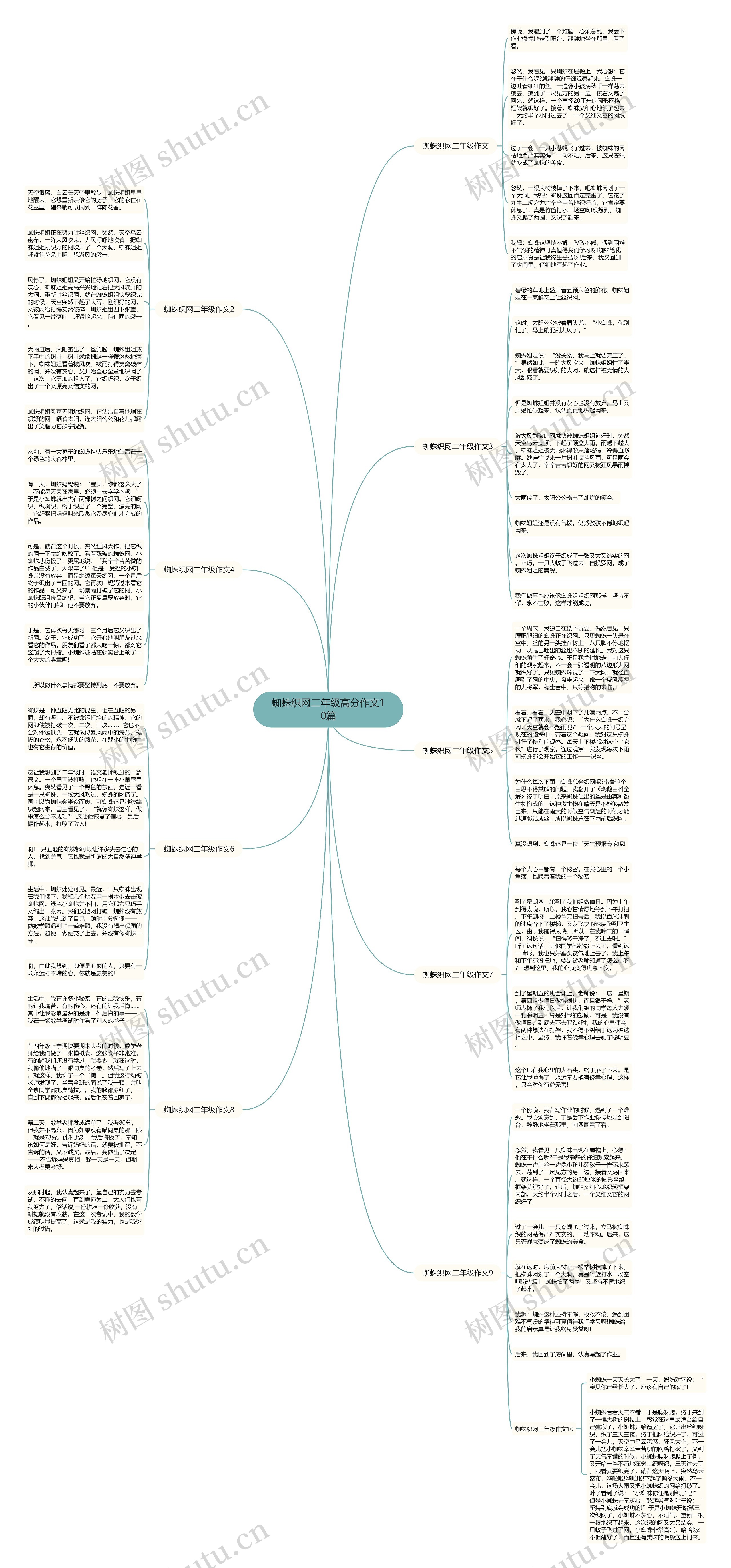 蜘蛛织网二年级高分作文10篇思维导图