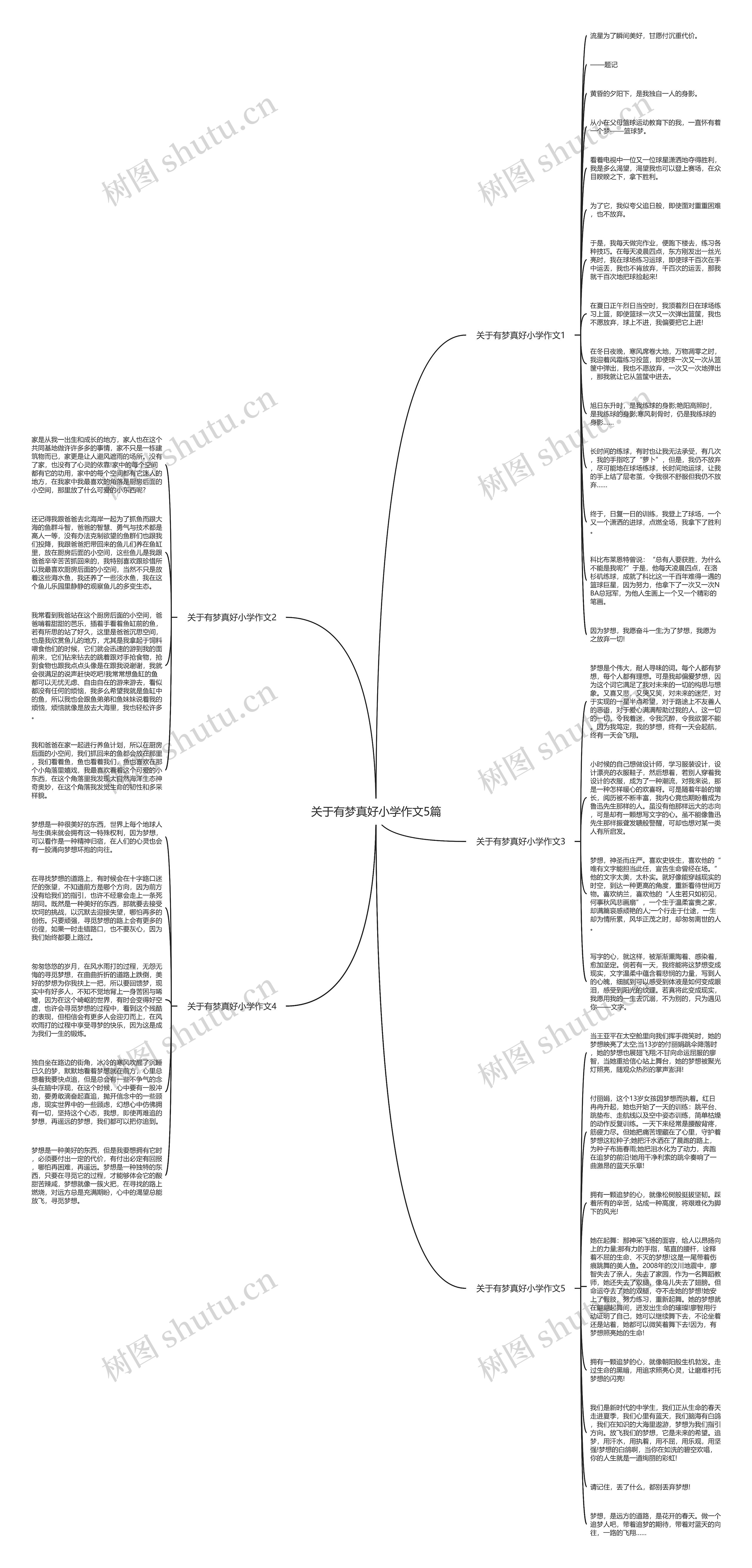 关于有梦真好小学作文5篇思维导图