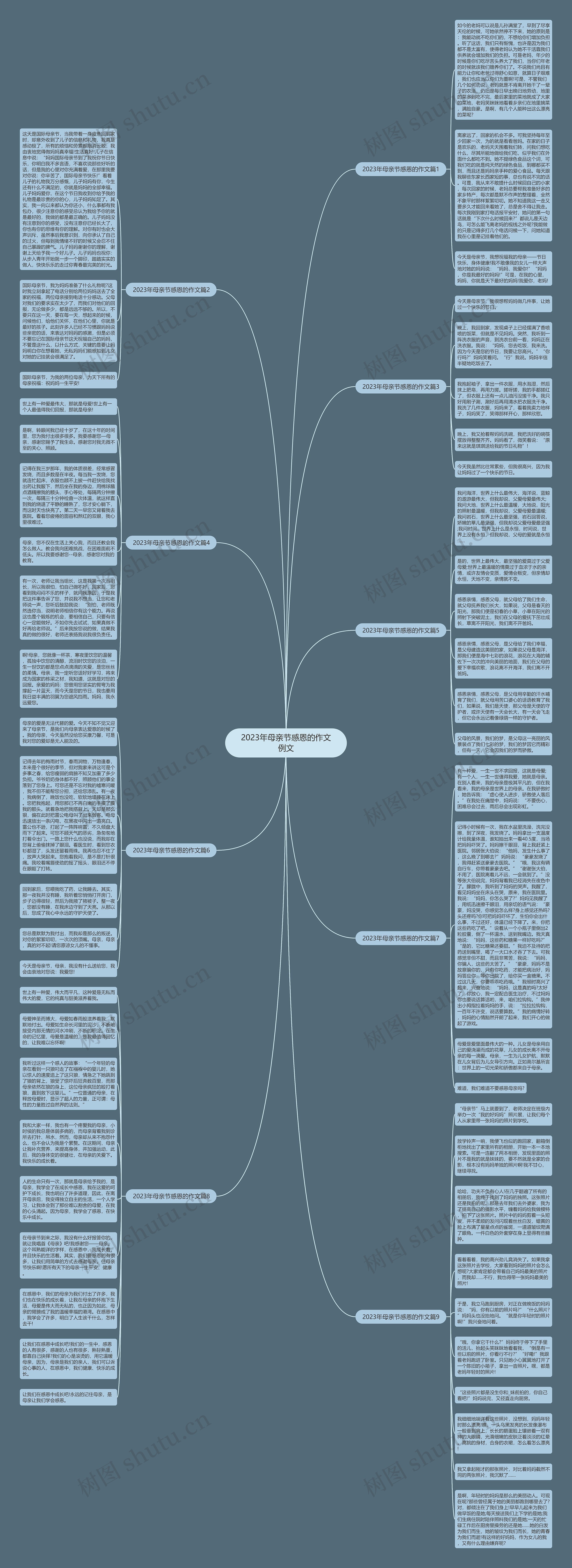 2023年母亲节感恩的作文例文思维导图