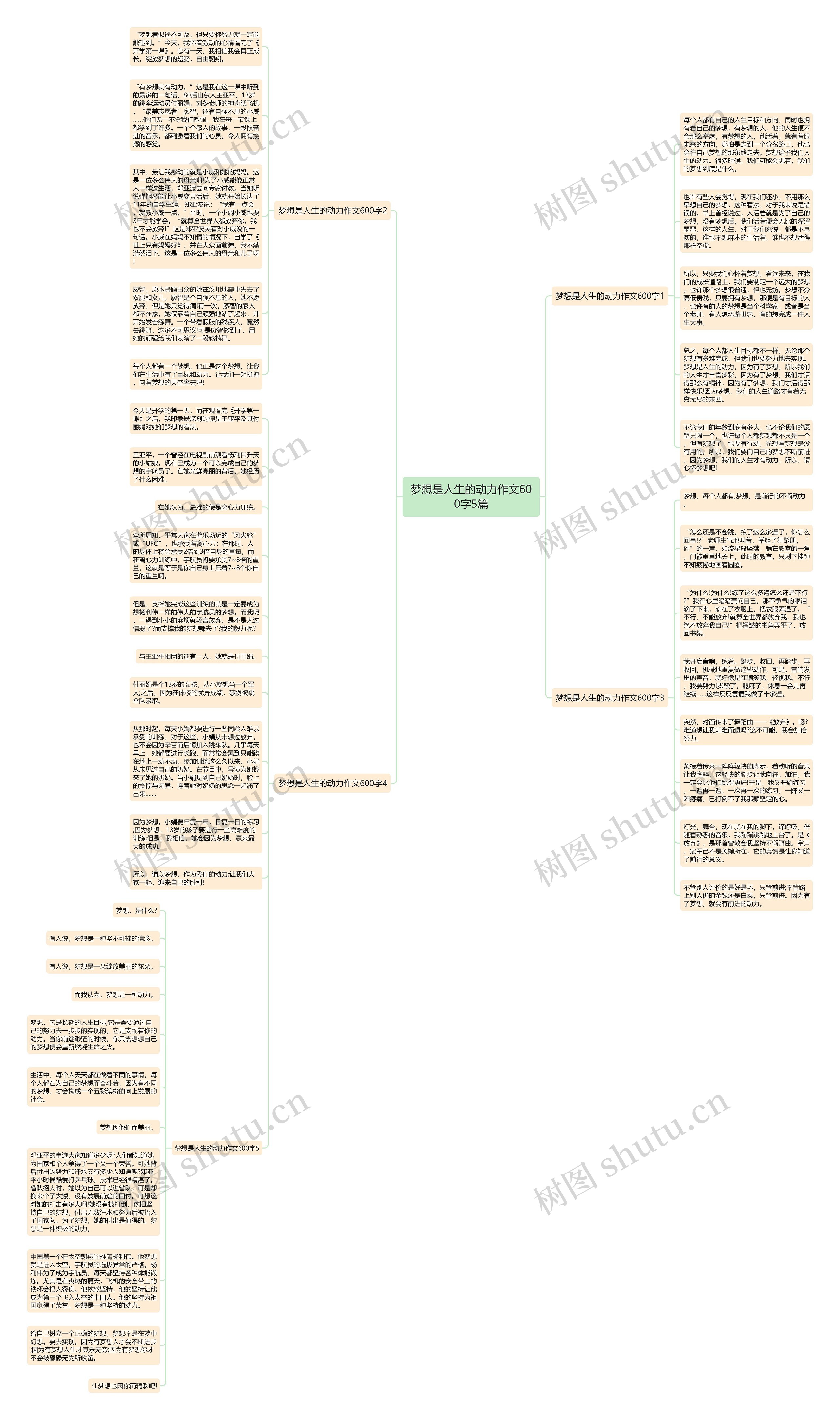 梦想是人生的动力作文600字5篇思维导图