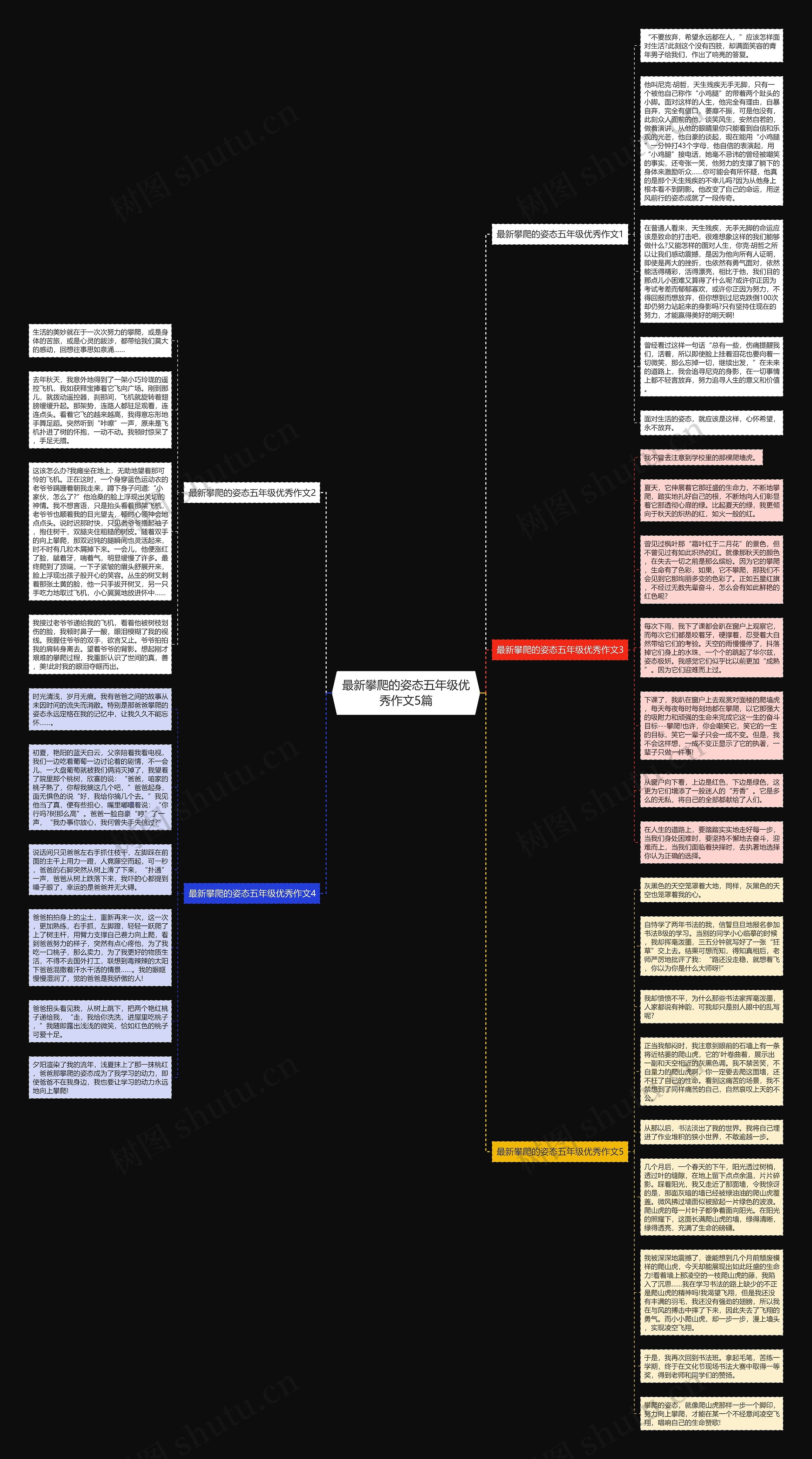 最新攀爬的姿态五年级优秀作文5篇思维导图