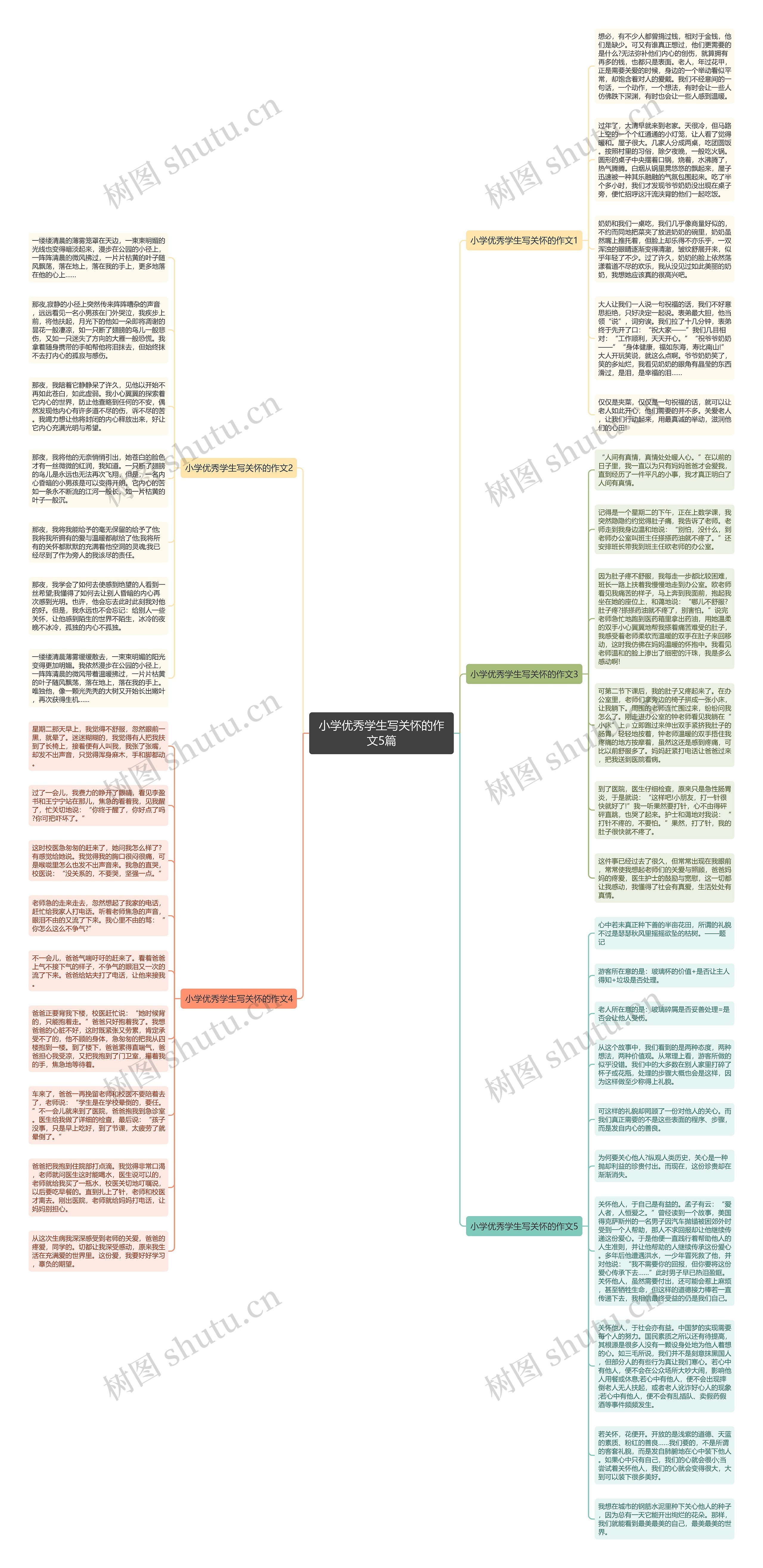 小学优秀学生写关怀的作文5篇思维导图