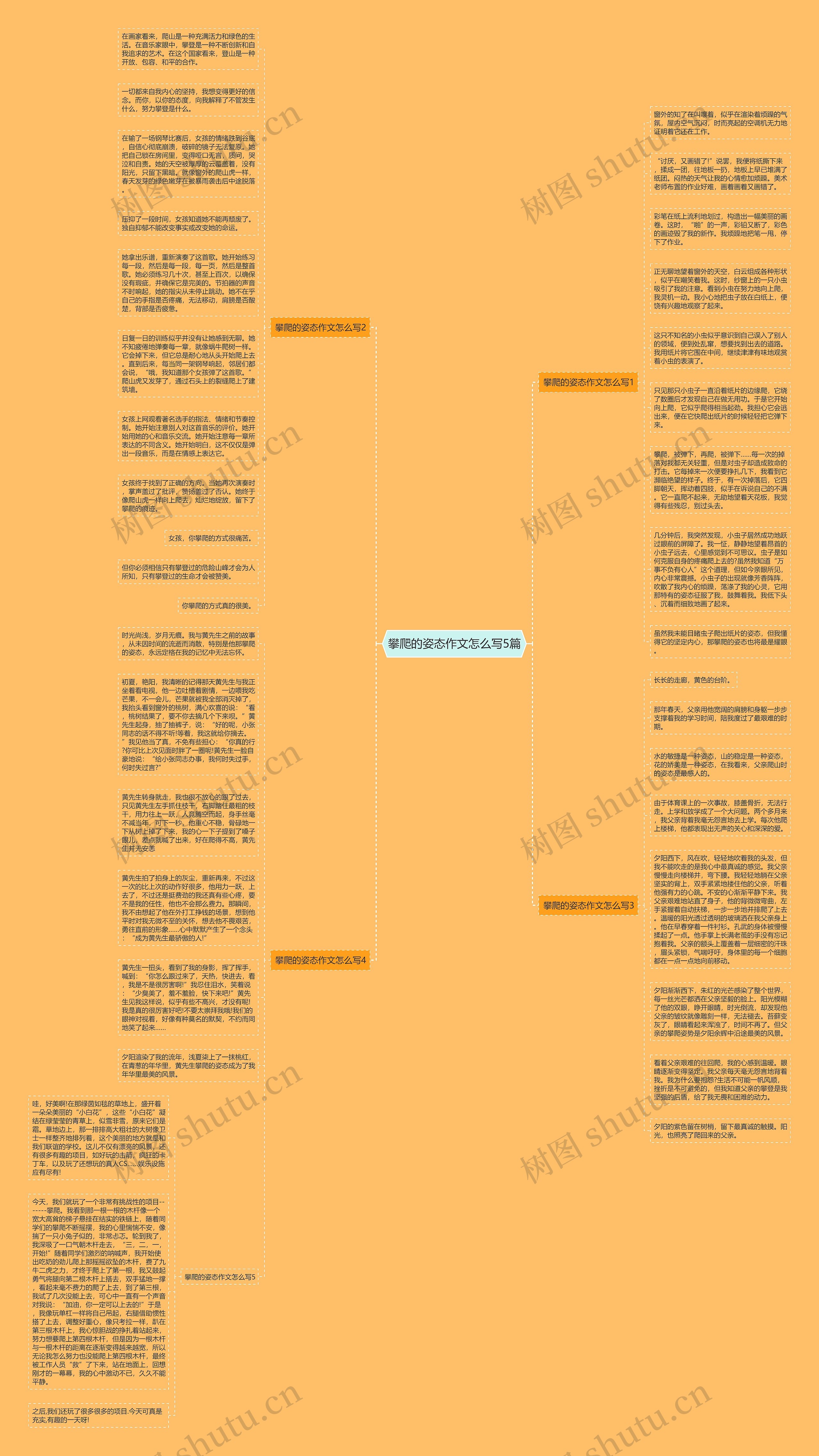 攀爬的姿态作文怎么写5篇思维导图