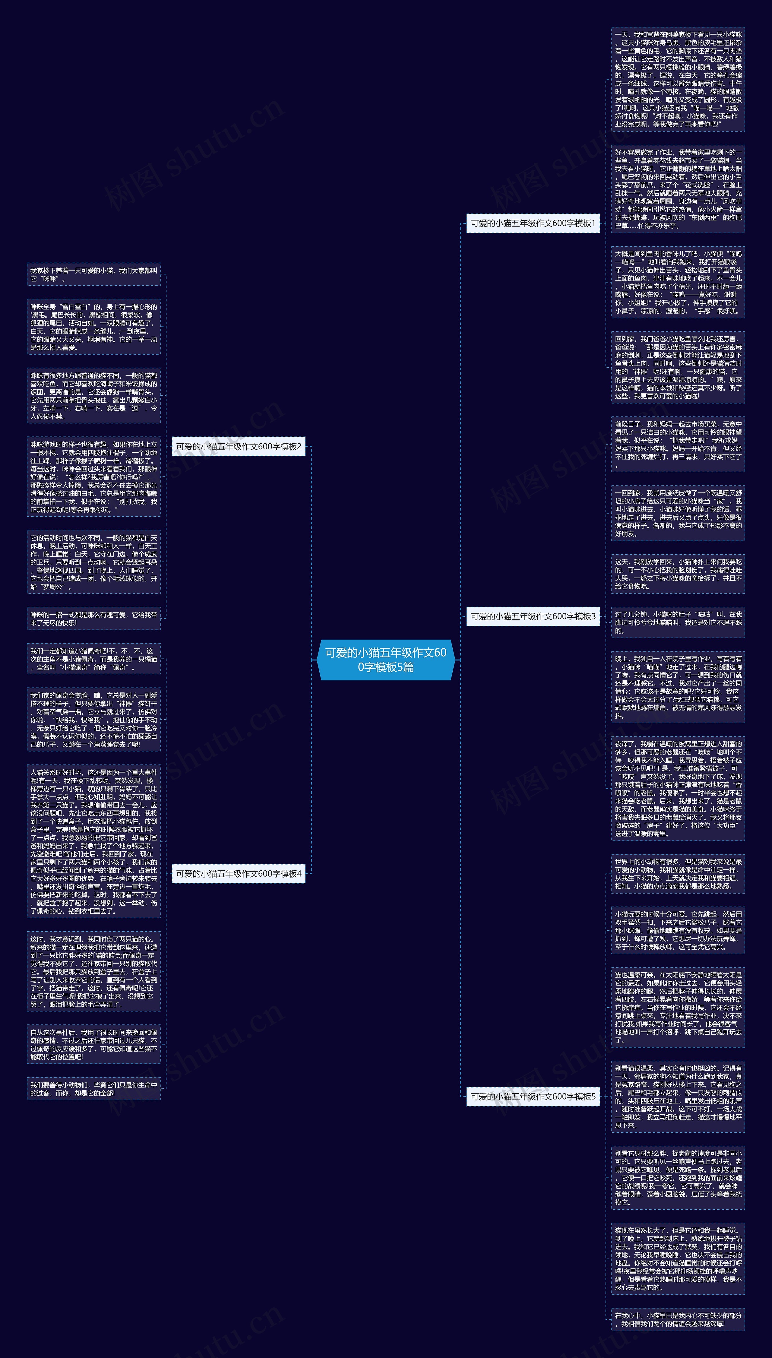 可爱的小猫五年级作文600字模板5篇