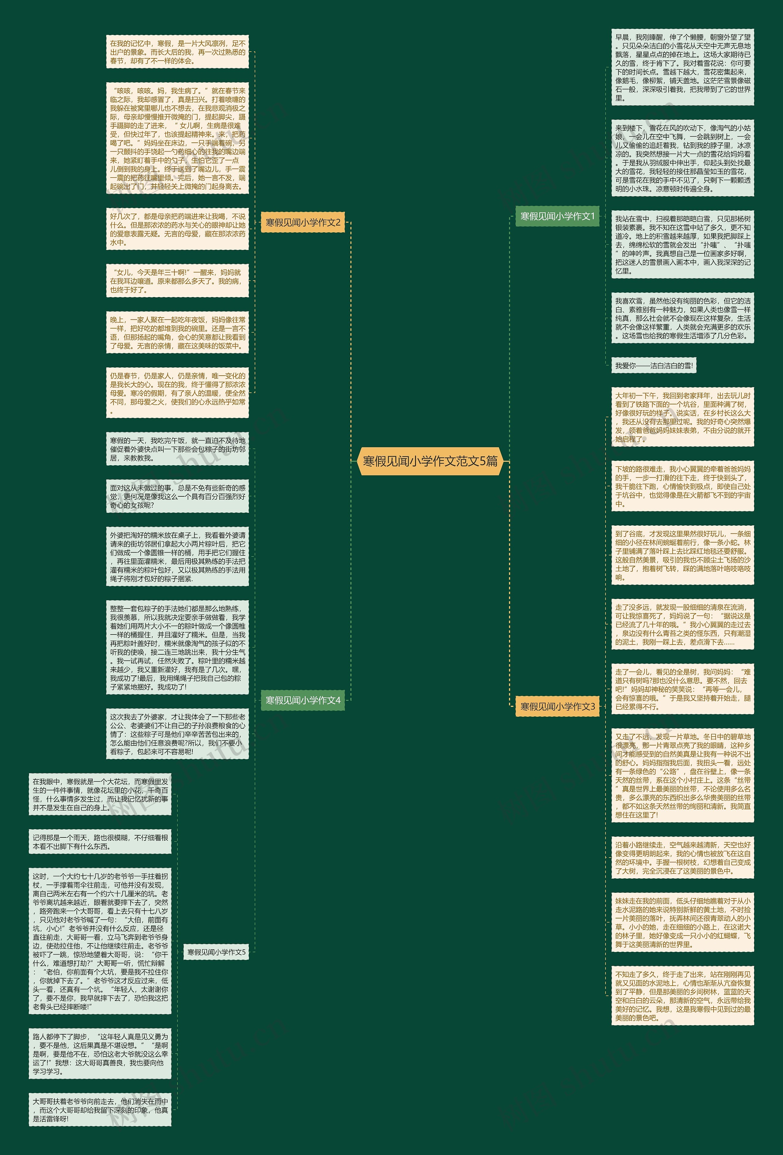 寒假见闻小学作文范文5篇思维导图