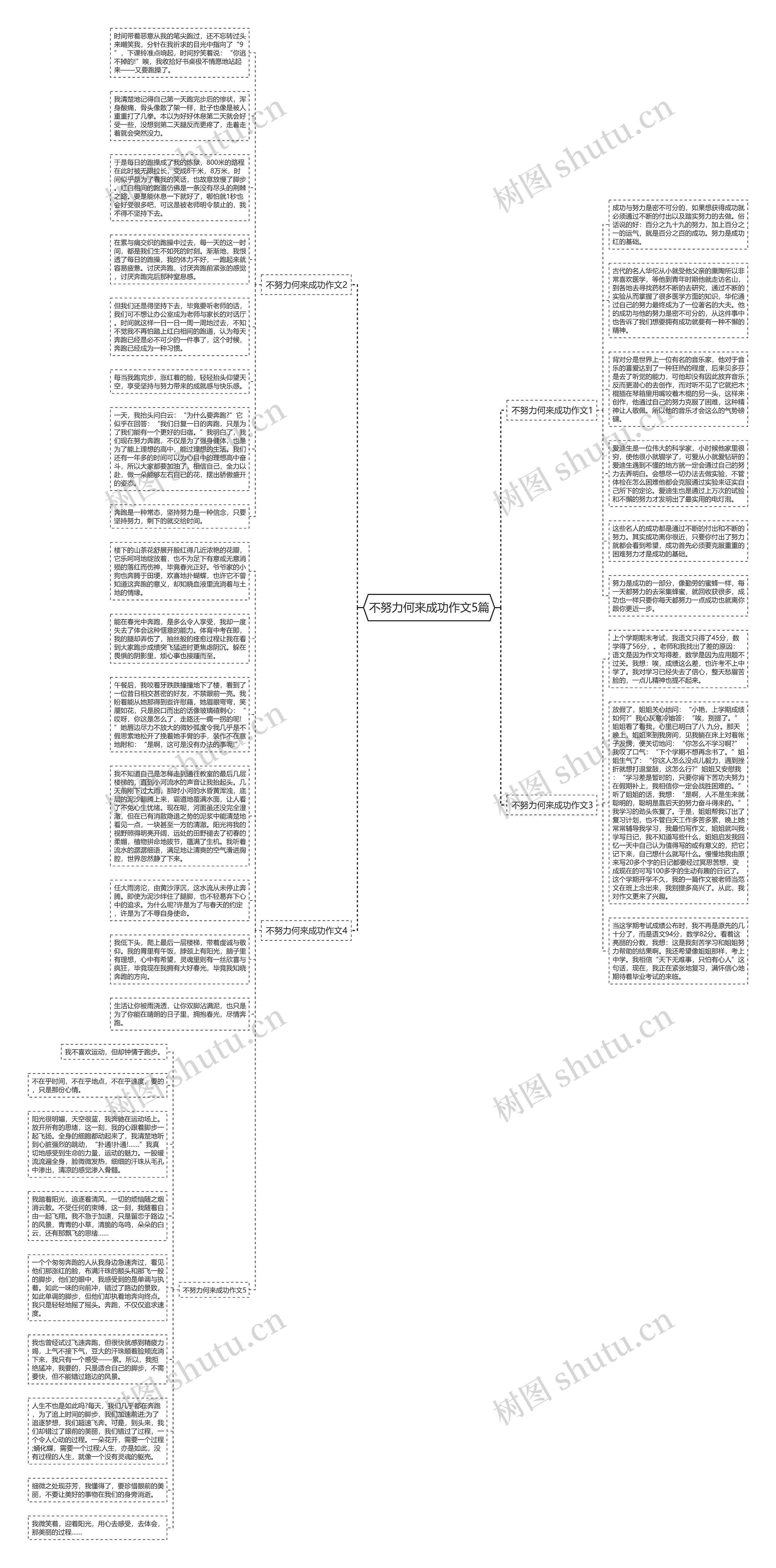 不努力何来成功作文5篇思维导图