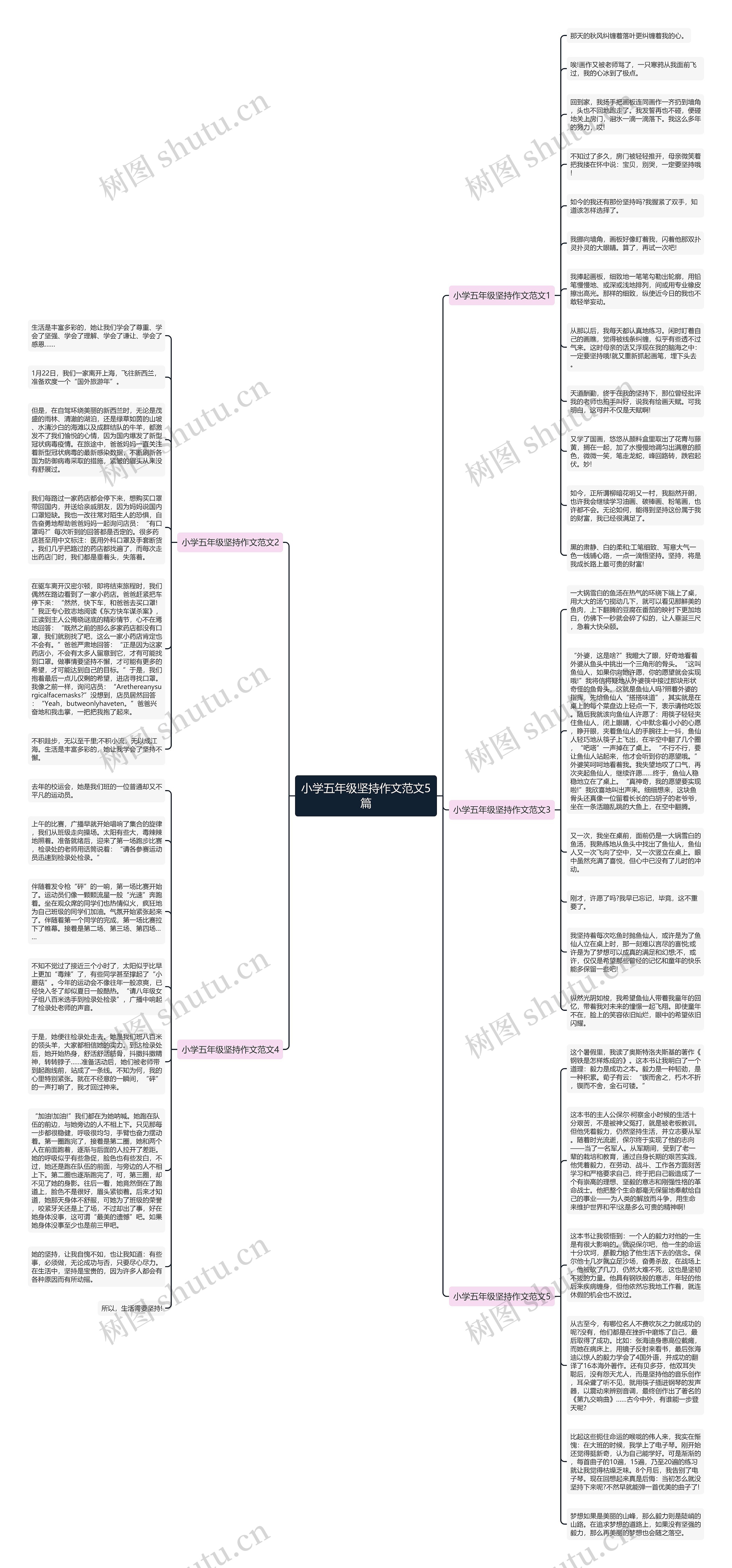 小学五年级坚持作文范文5篇思维导图