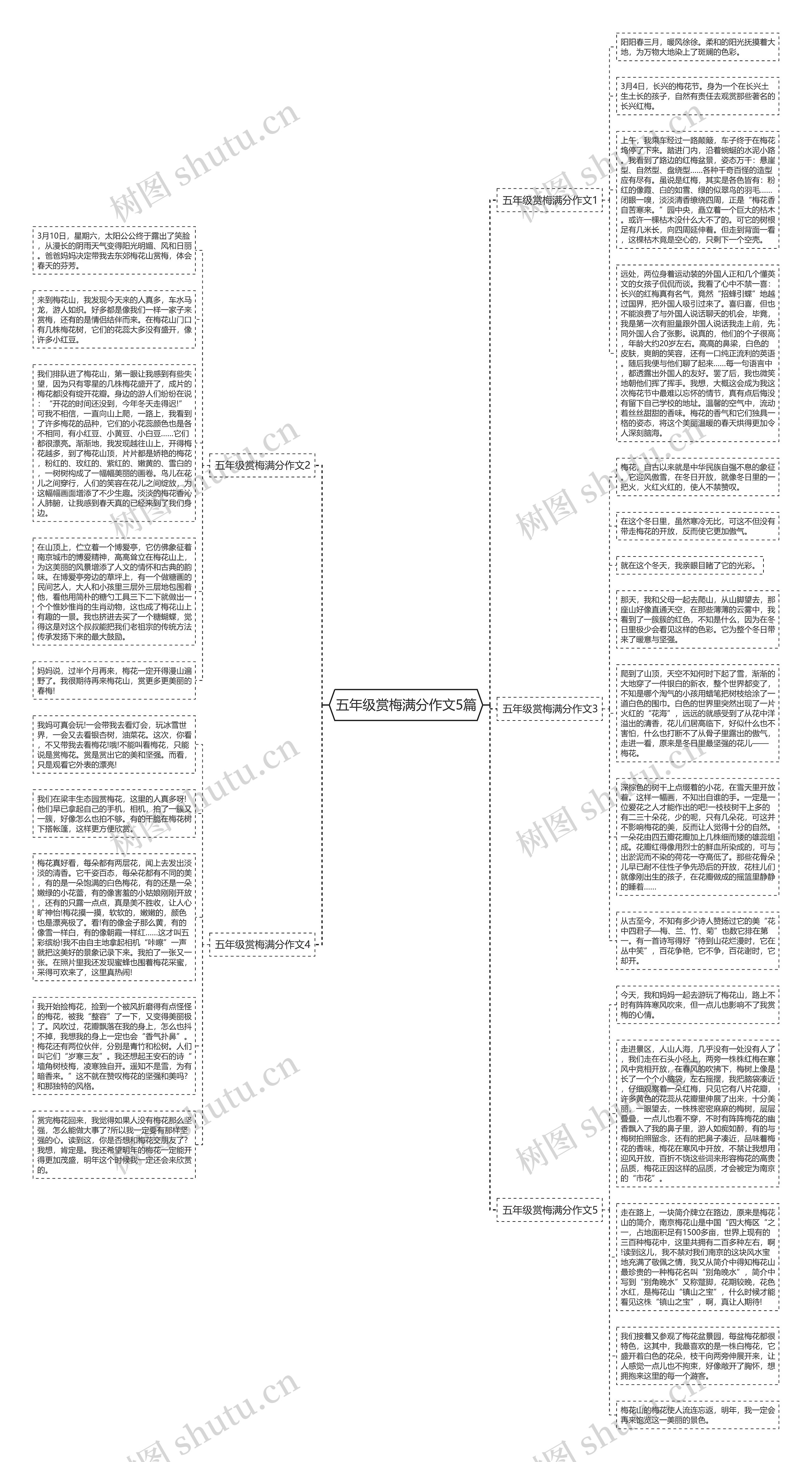 五年级赏梅满分作文5篇思维导图