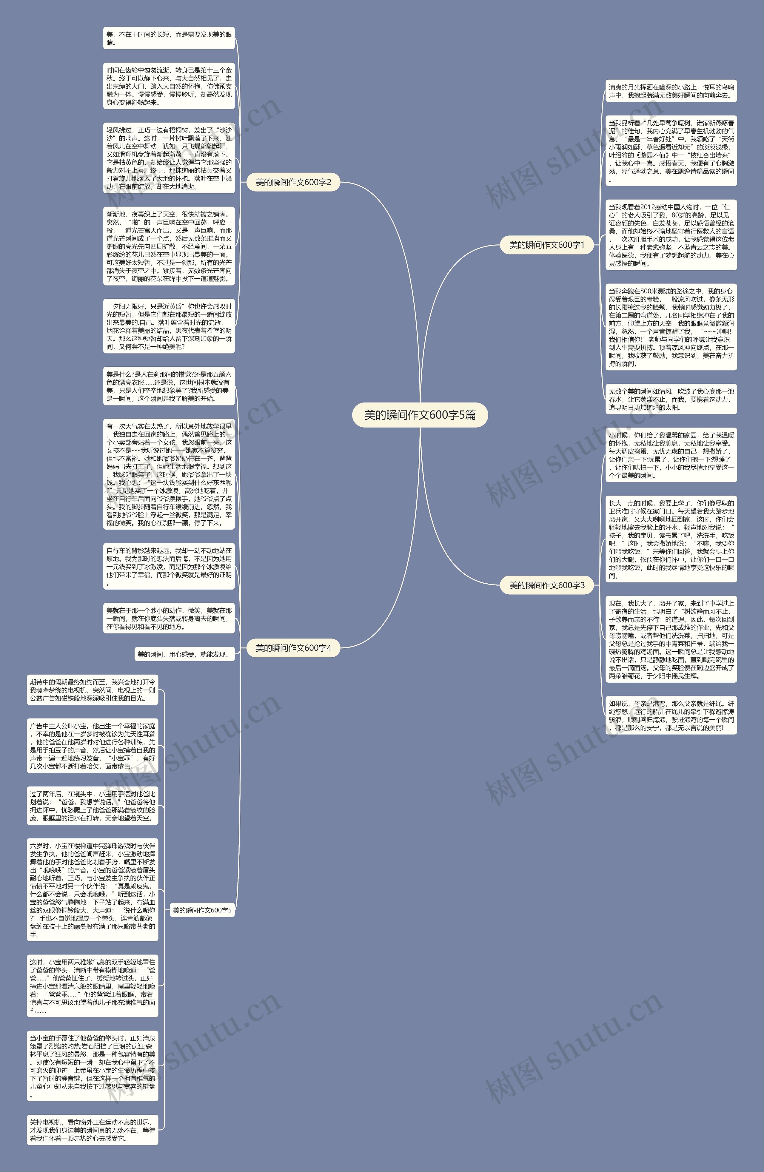 美的瞬间作文600字5篇思维导图