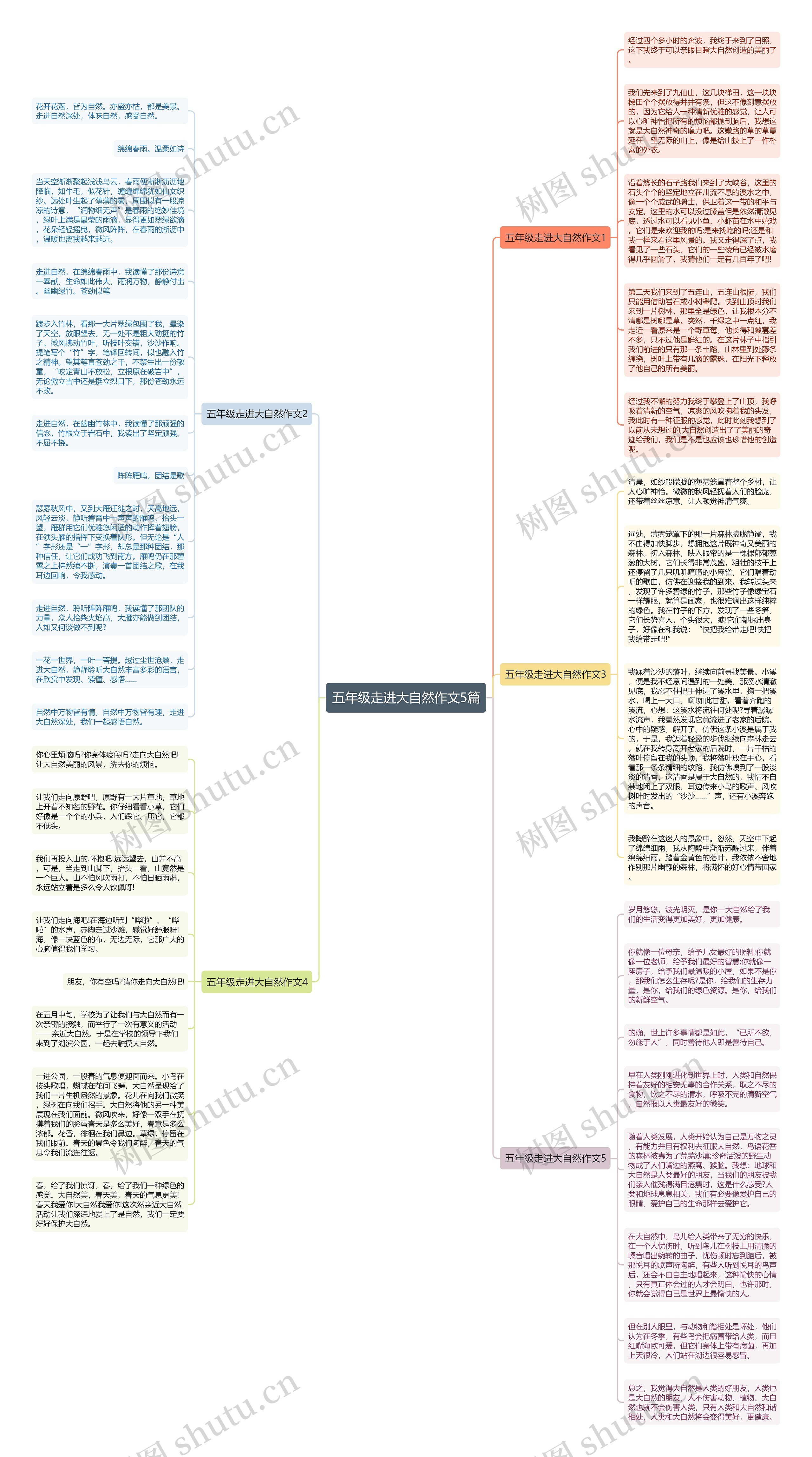 五年级走进大自然作文5篇思维导图