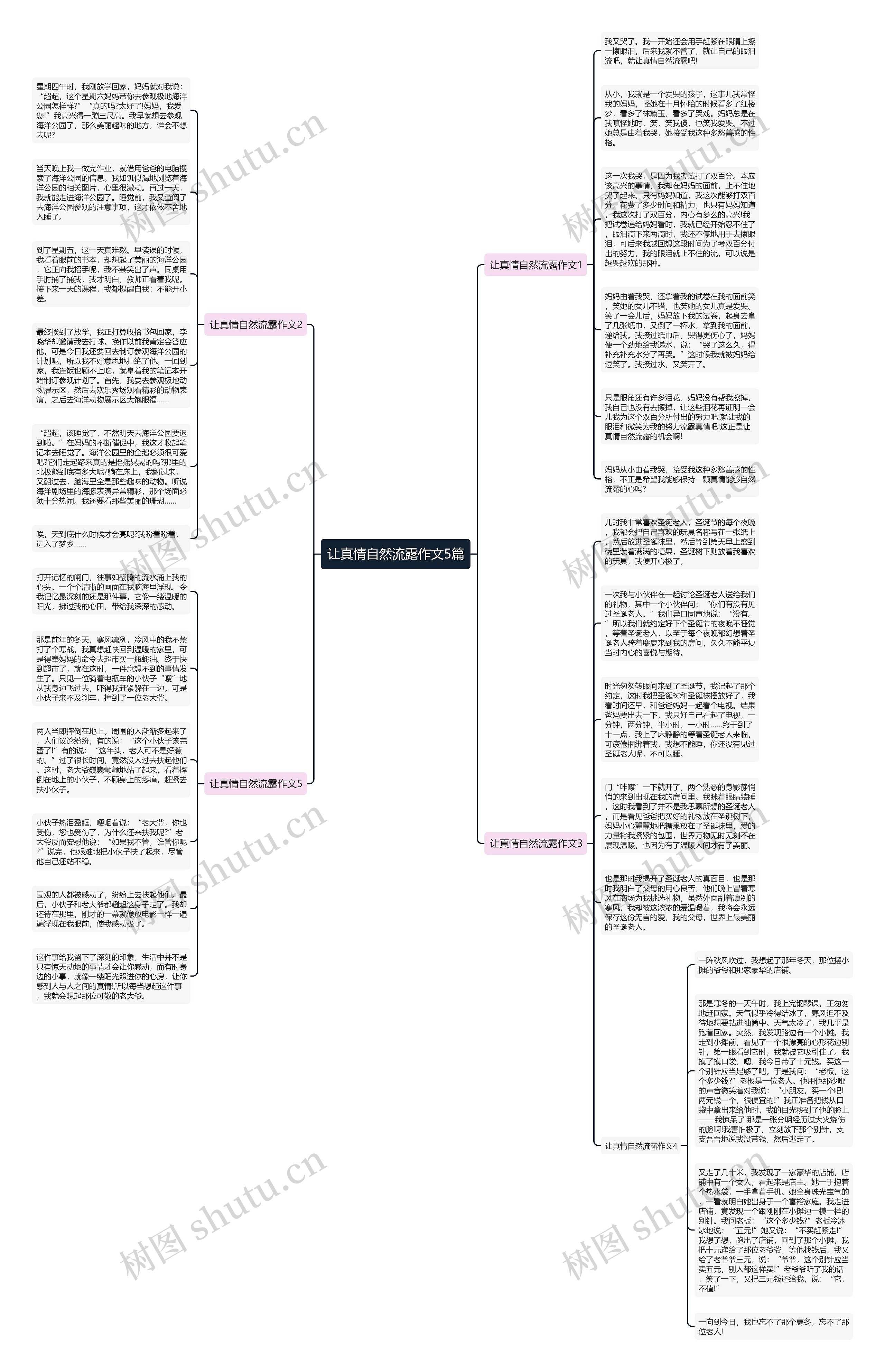 让真情自然流露作文5篇思维导图