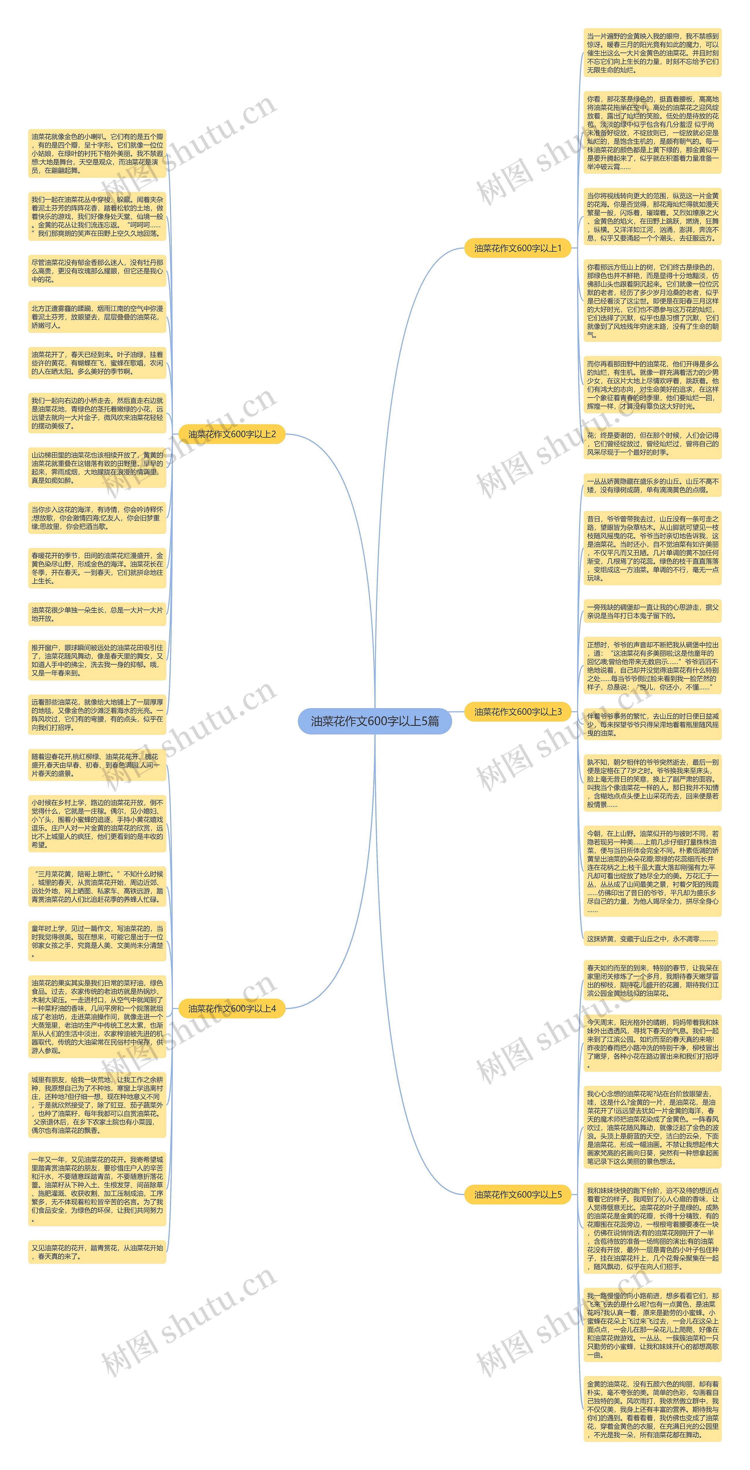 油菜花作文600字以上5篇思维导图