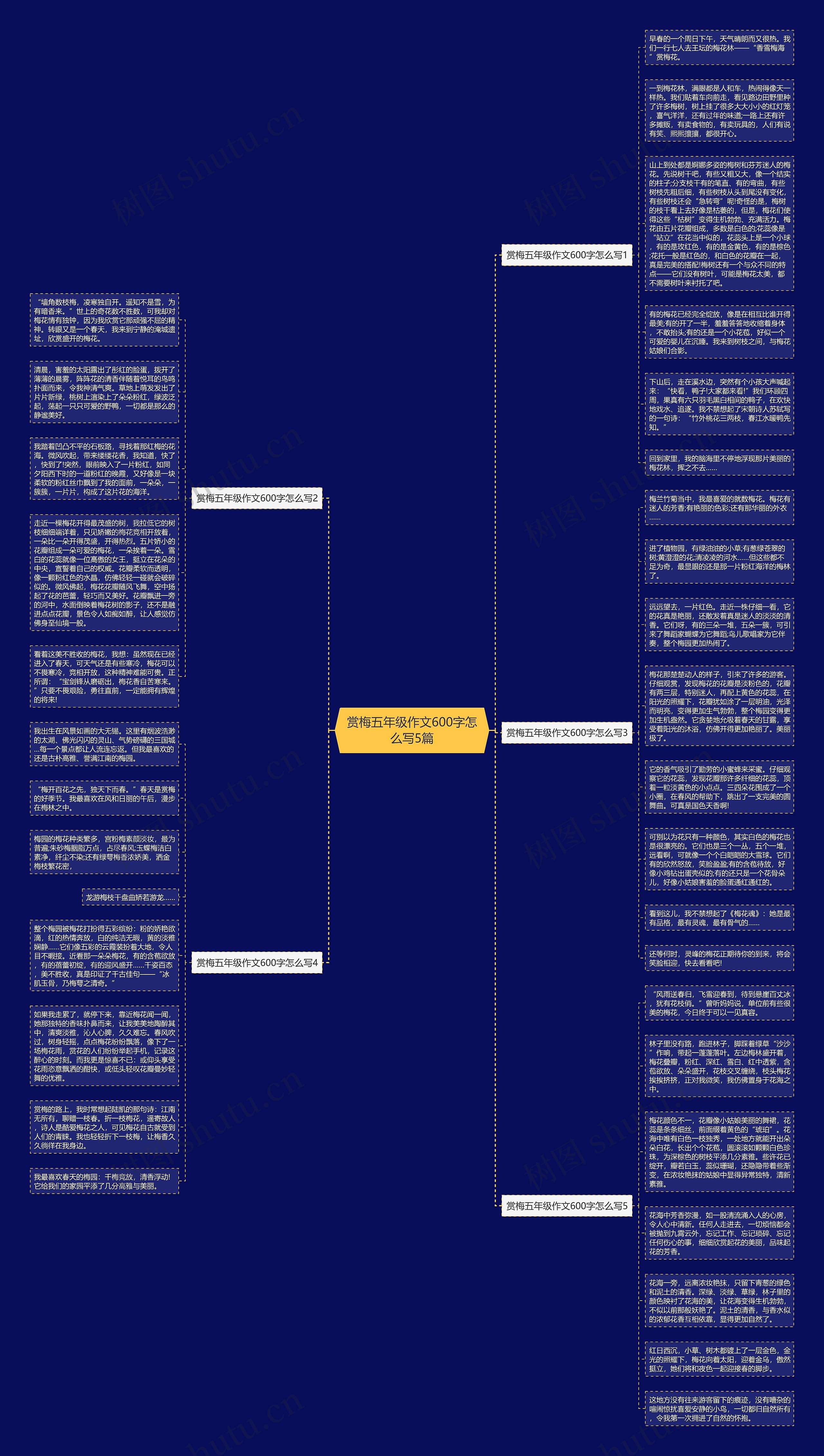 赏梅五年级作文600字怎么写5篇思维导图