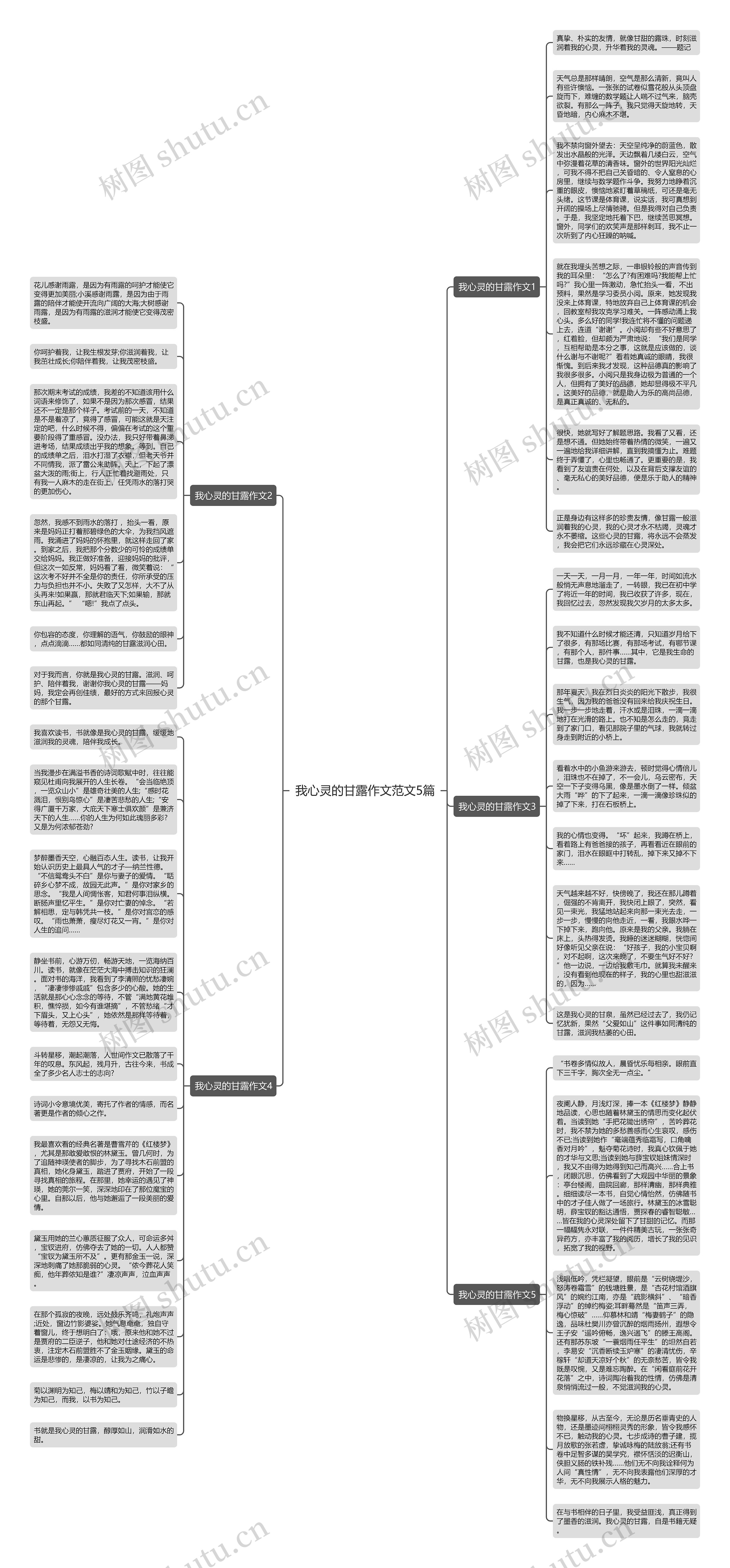 我心灵的甘露作文范文5篇思维导图