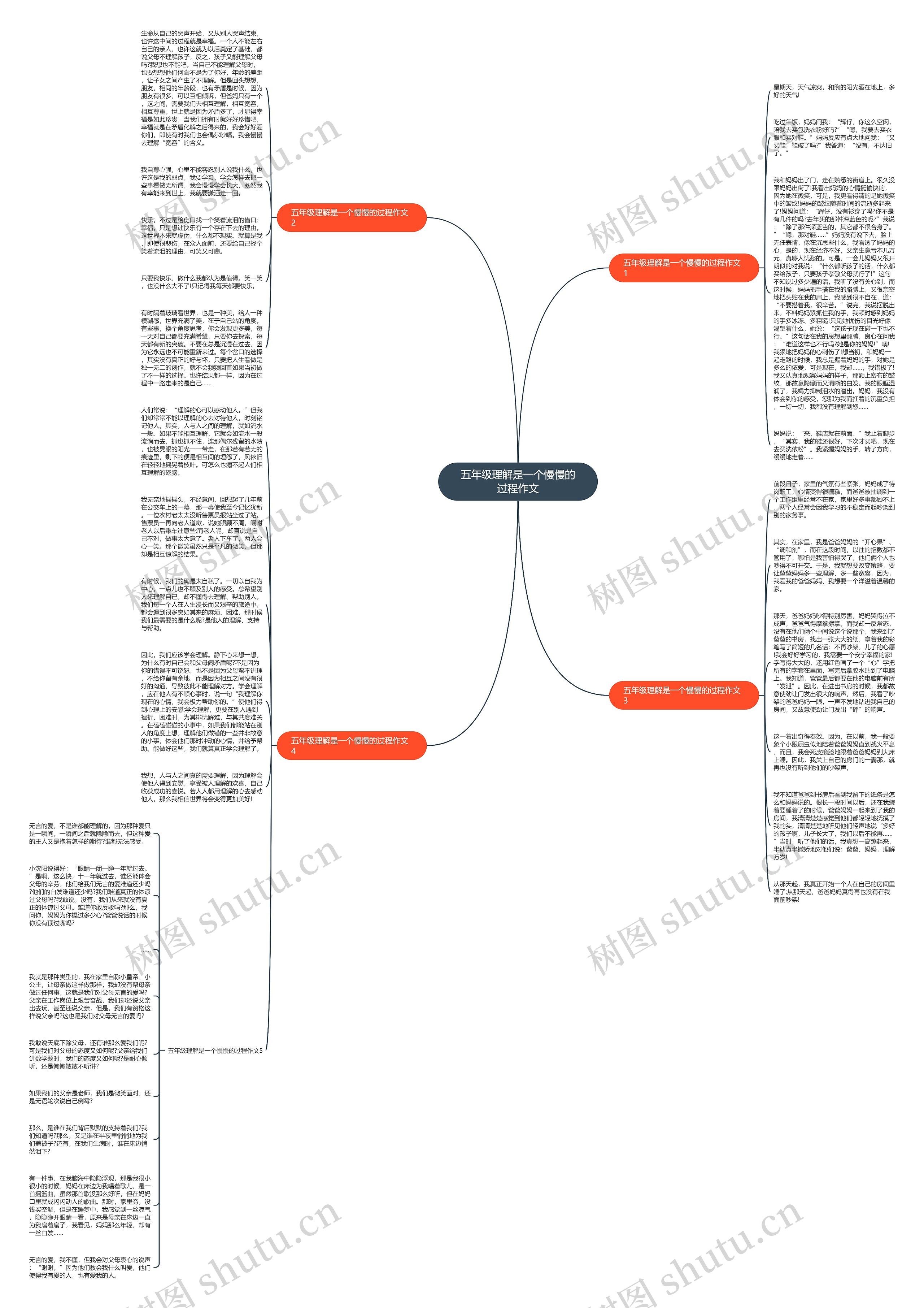 五年级理解是一个慢慢的过程作文思维导图