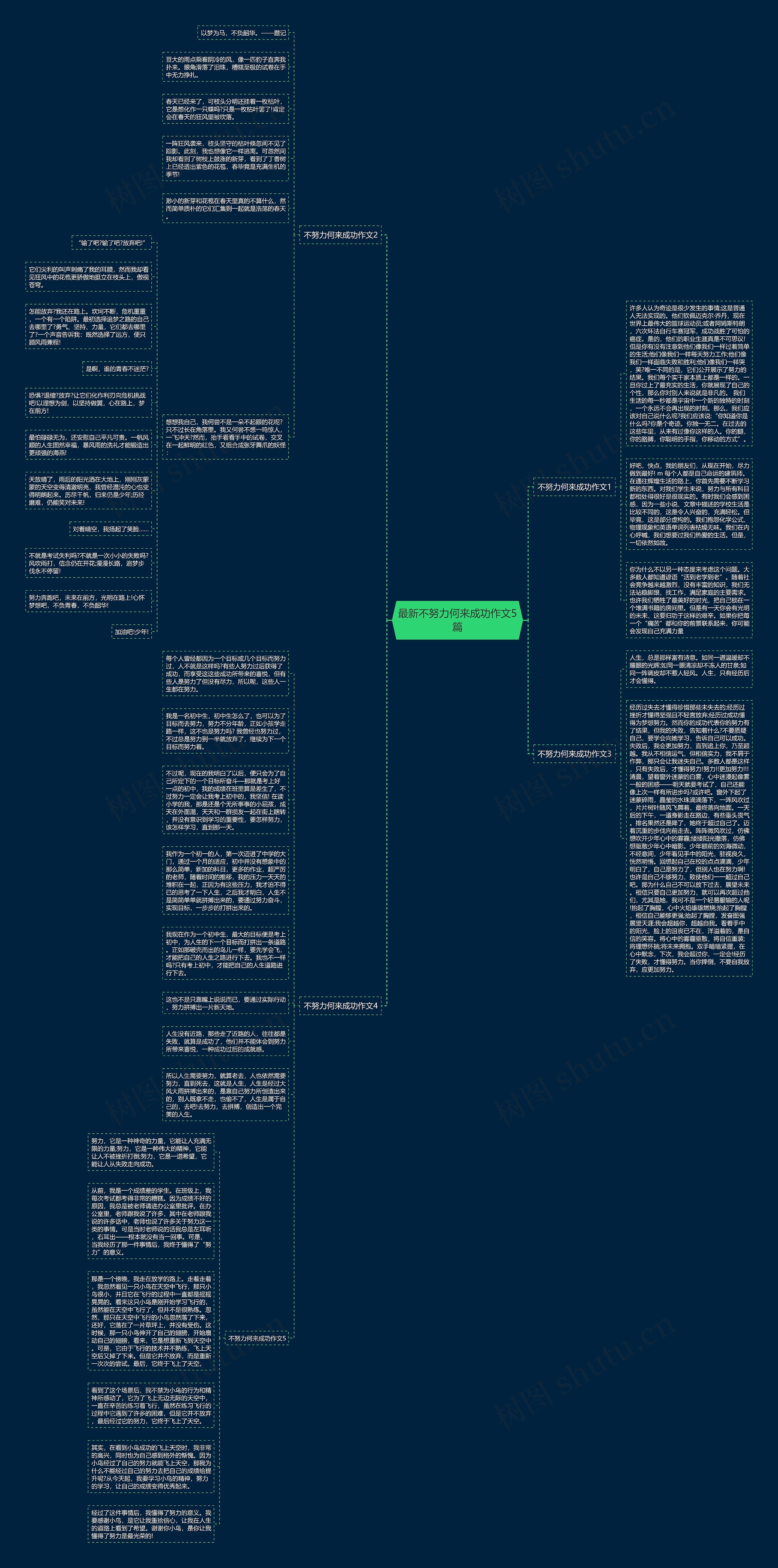最新不努力何来成功作文5篇思维导图