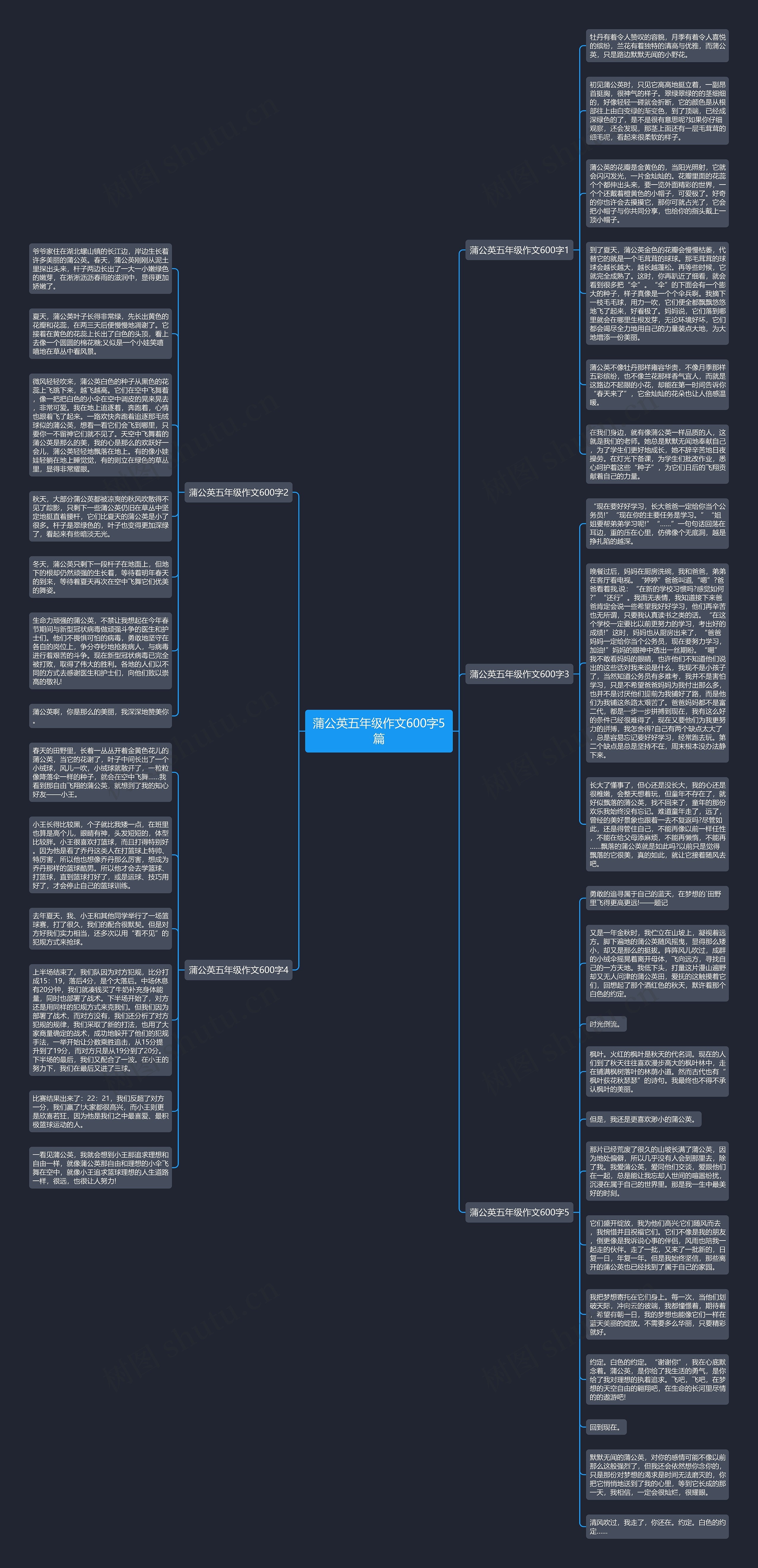 蒲公英五年级作文600字5篇思维导图