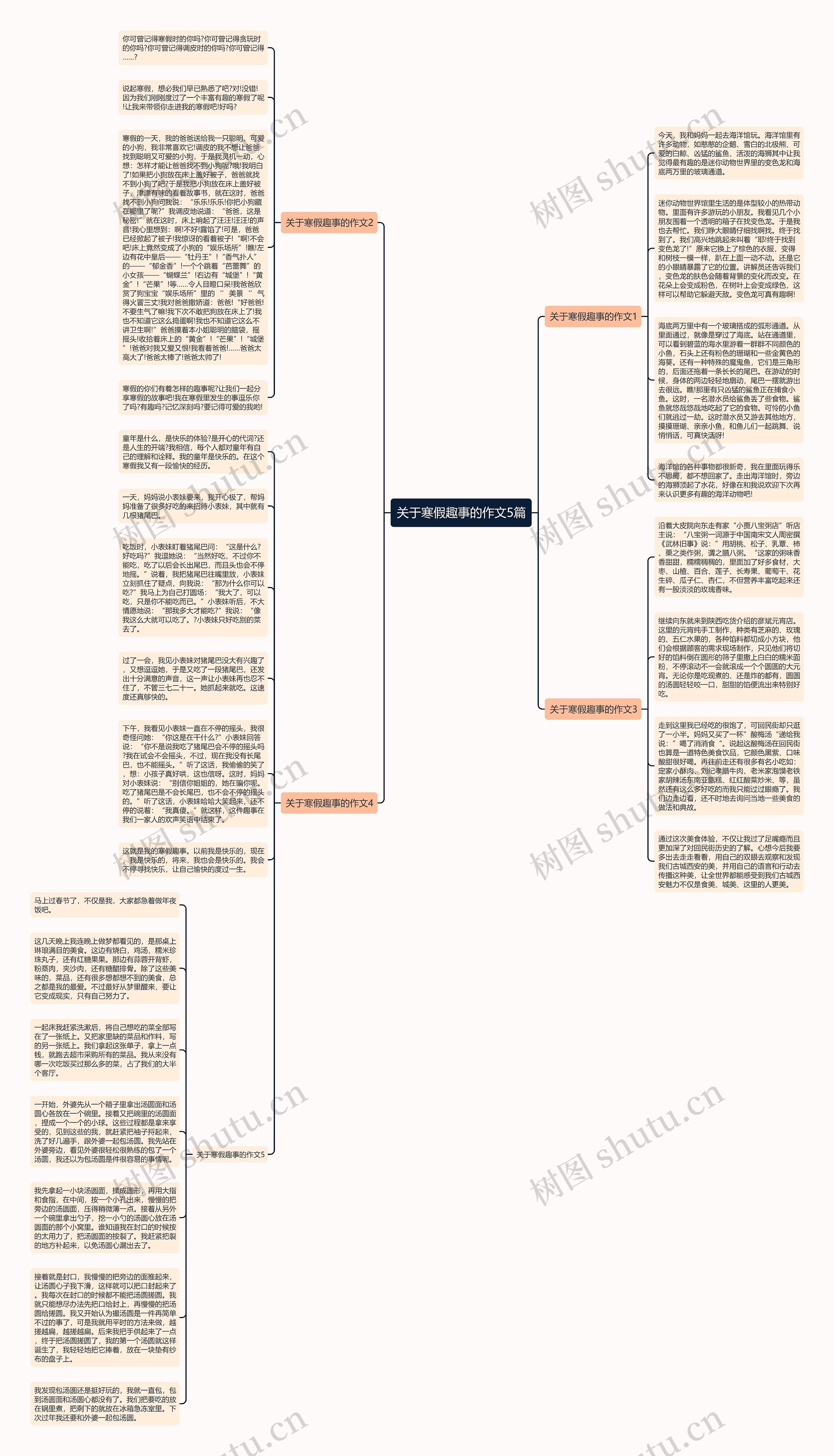 关于寒假趣事的作文5篇思维导图