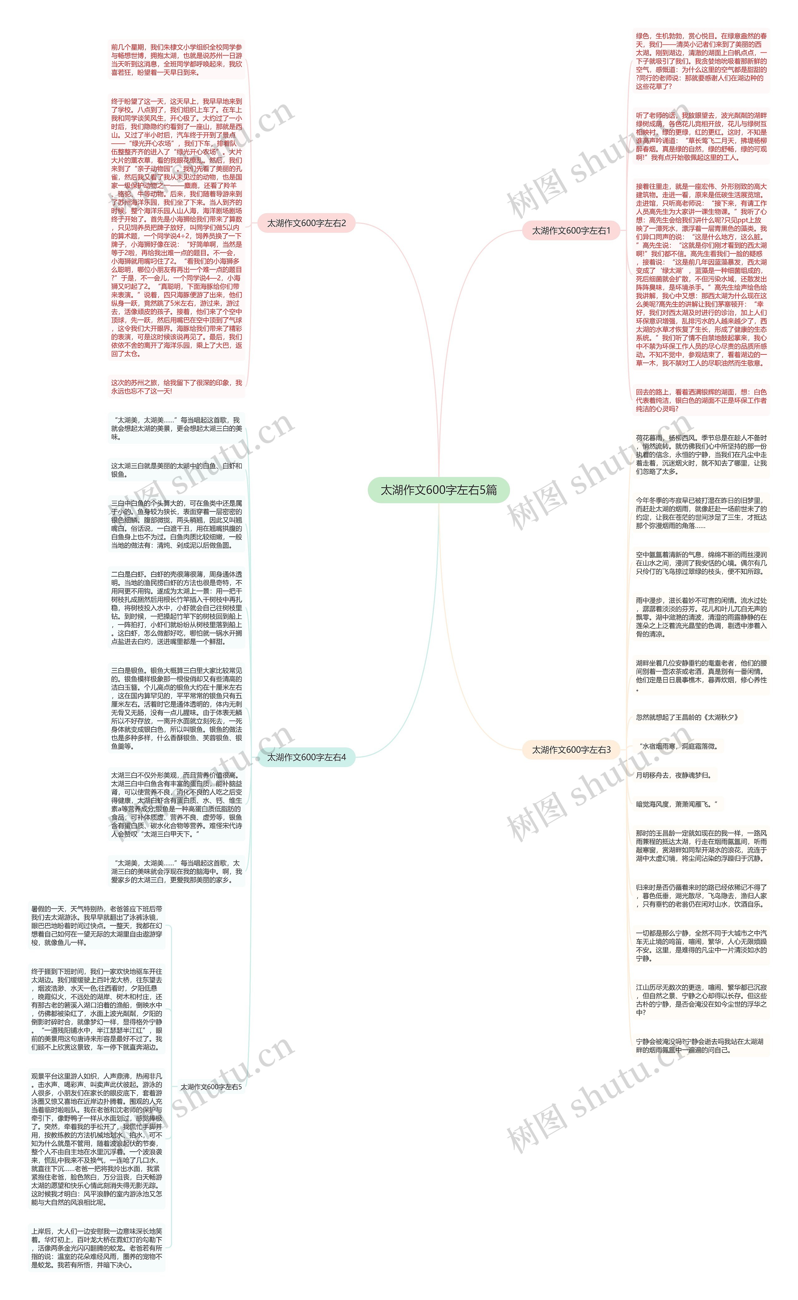 太湖作文600字左右5篇思维导图
