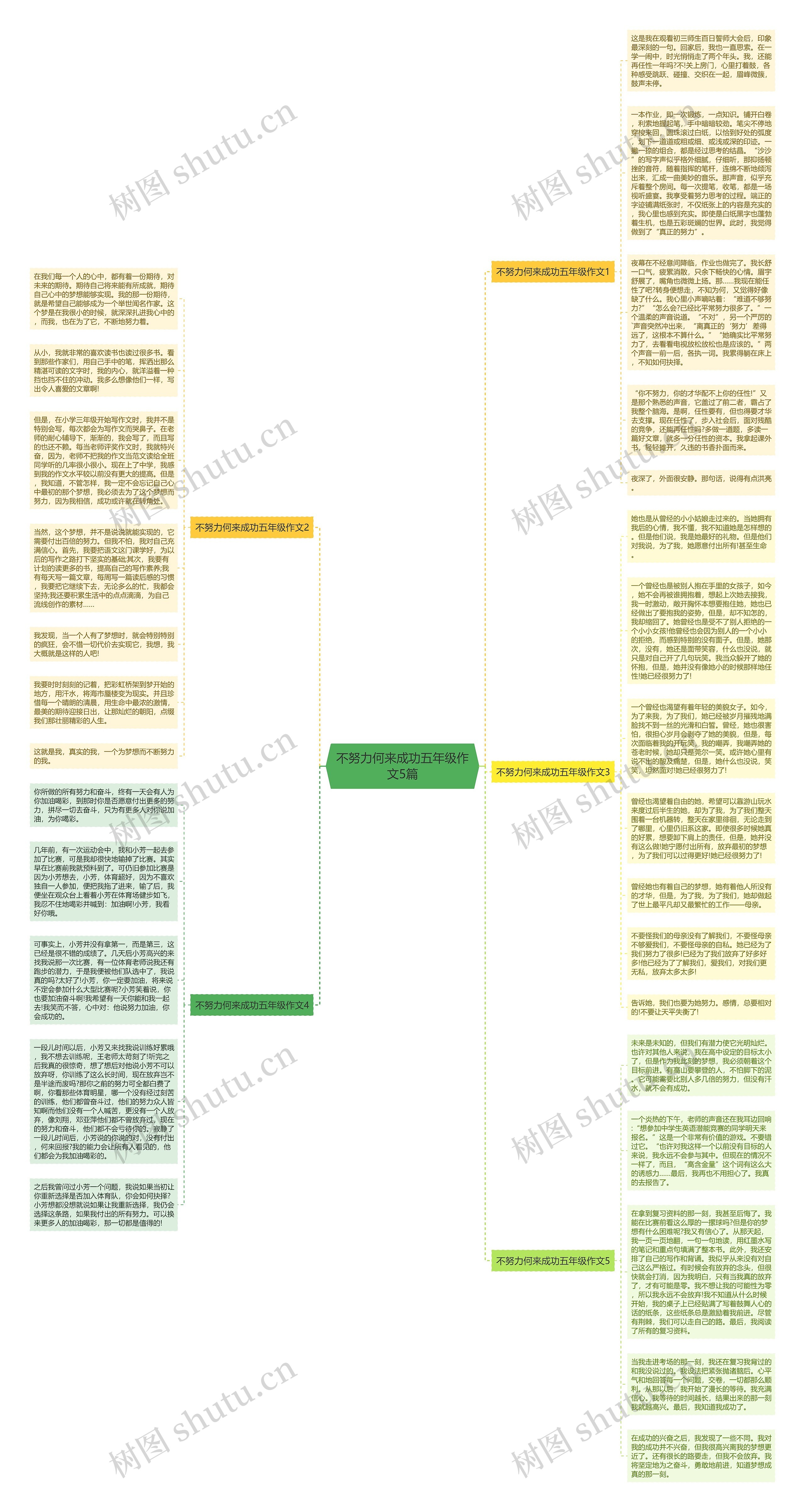 不努力何来成功五年级作文5篇思维导图