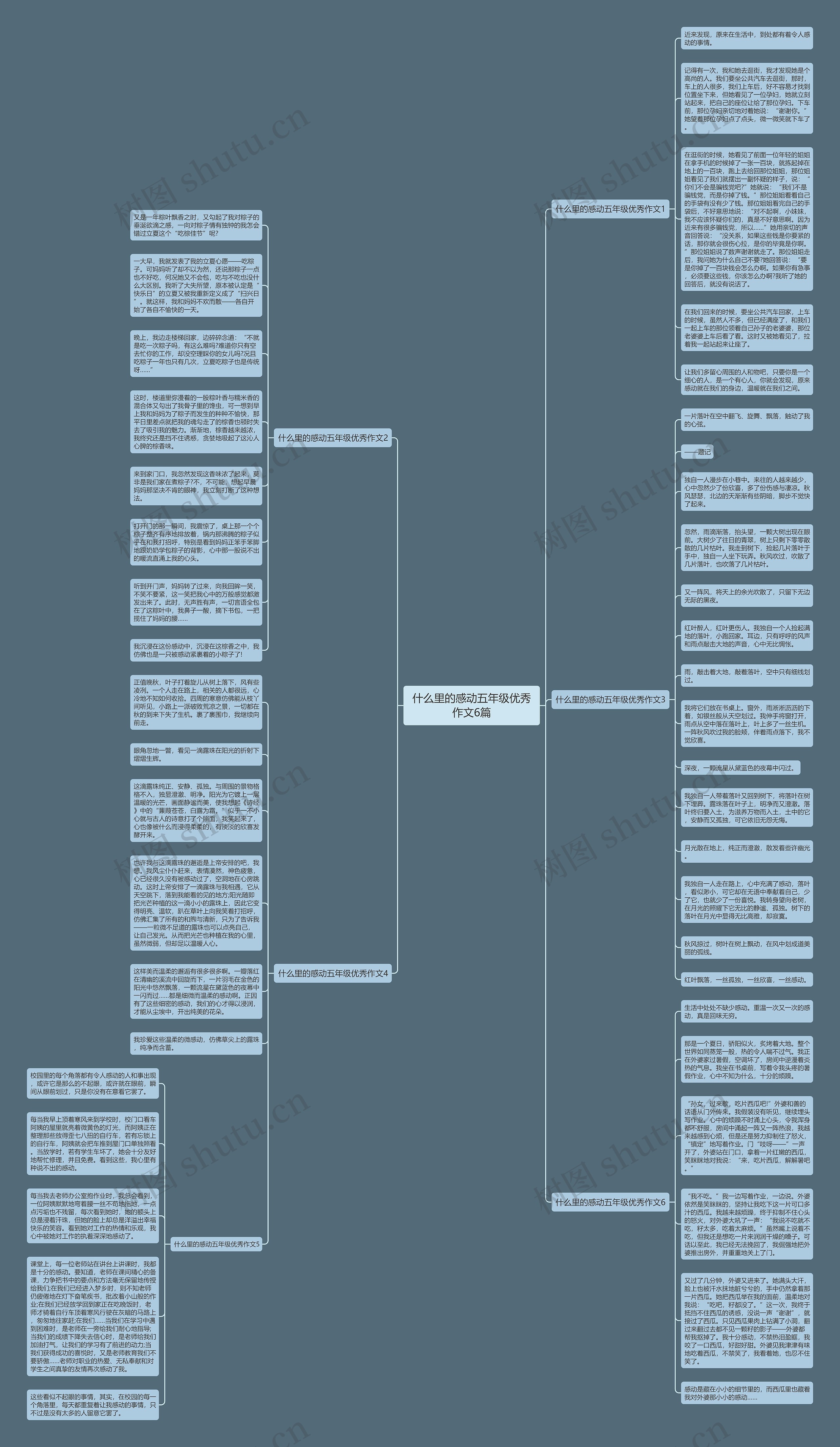 什么里的感动五年级优秀作文6篇思维导图