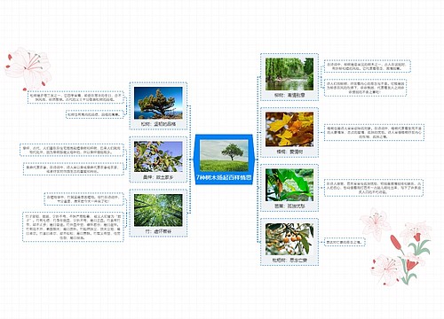 7种树木扬起百样情思