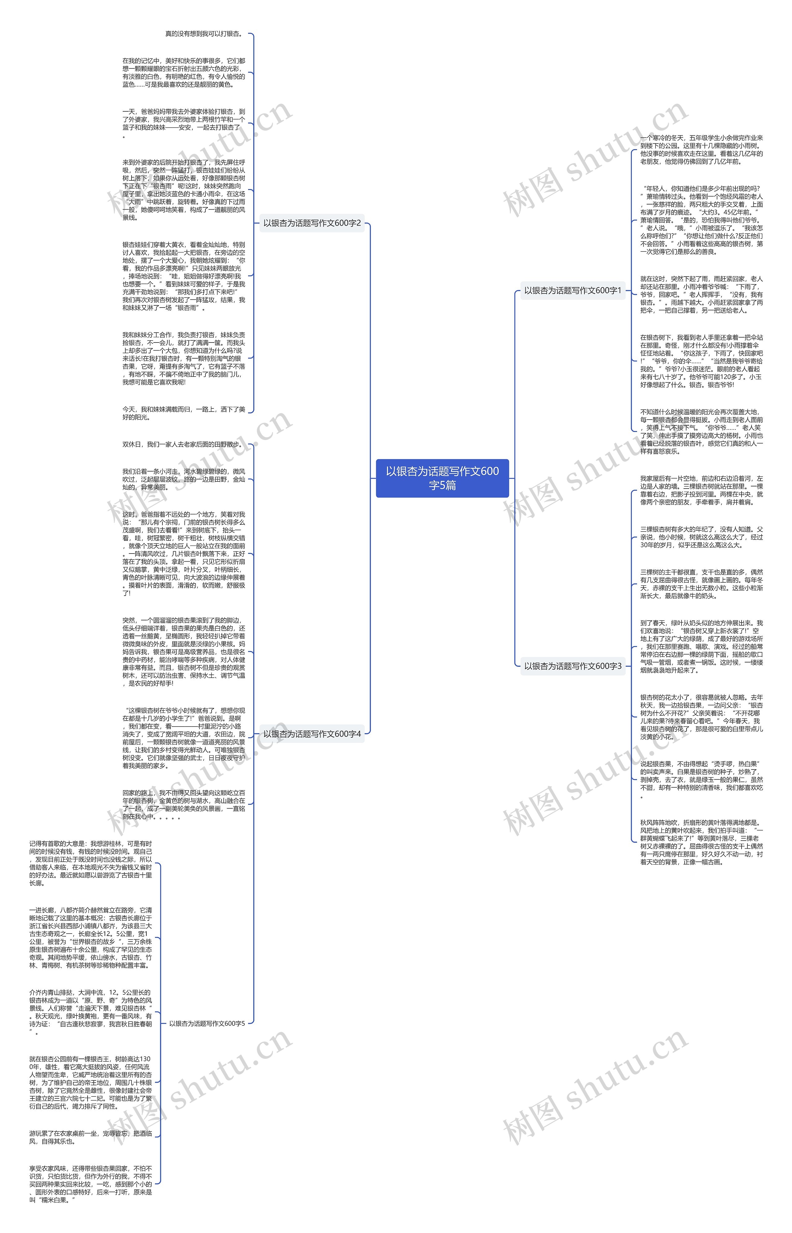 以银杏为话题写作文600字5篇思维导图