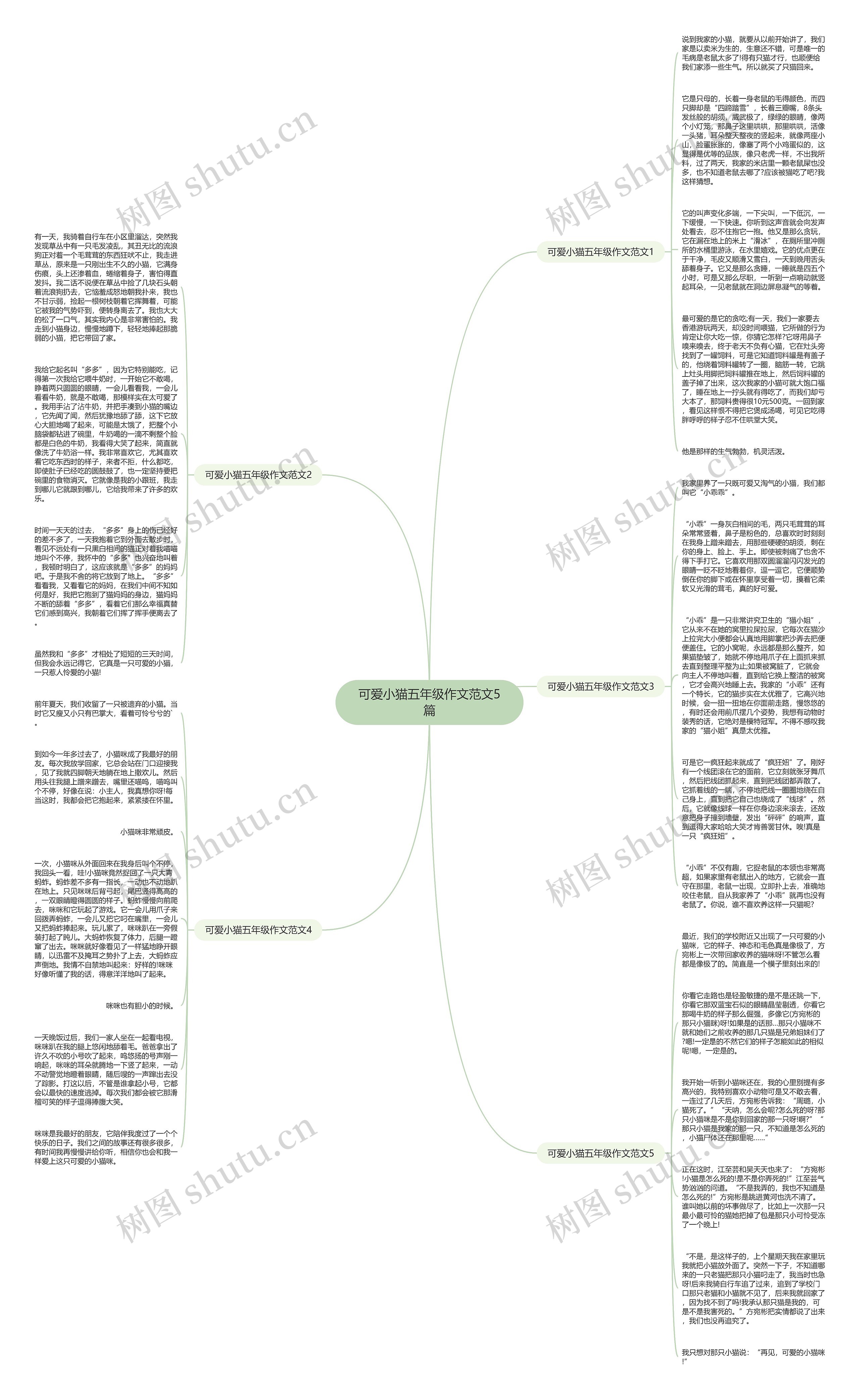 可爱小猫五年级作文范文5篇思维导图