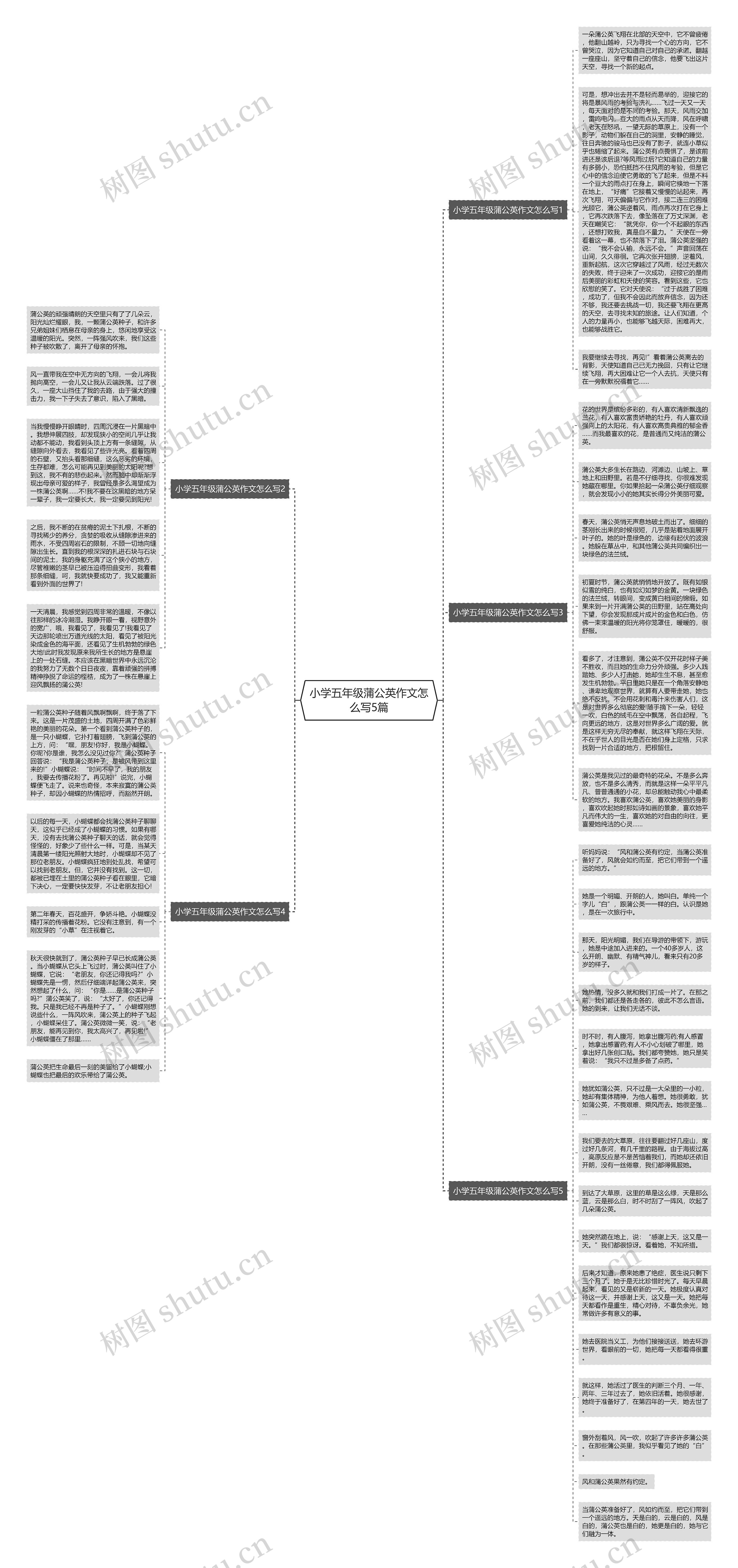 小学五年级蒲公英作文怎么写5篇思维导图