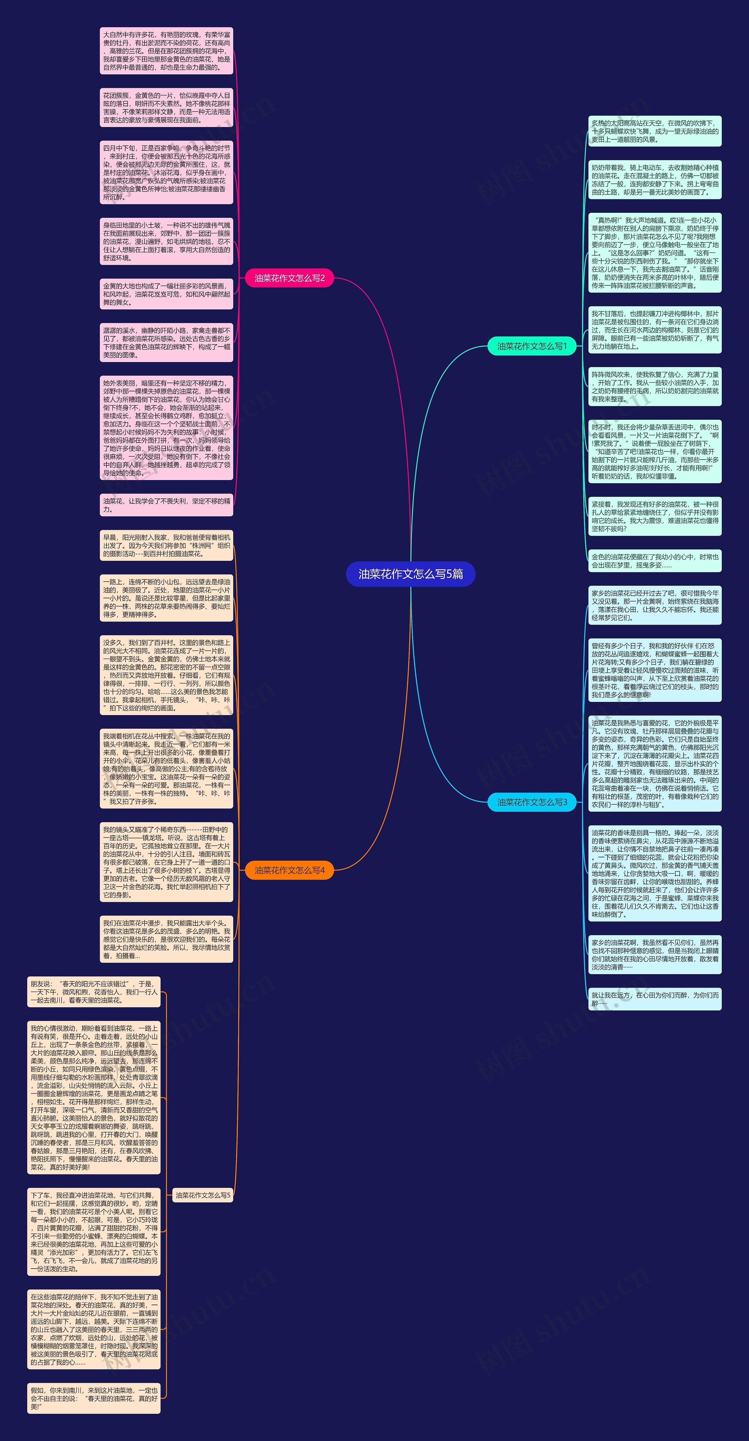 油菜花作文怎么写5篇思维导图