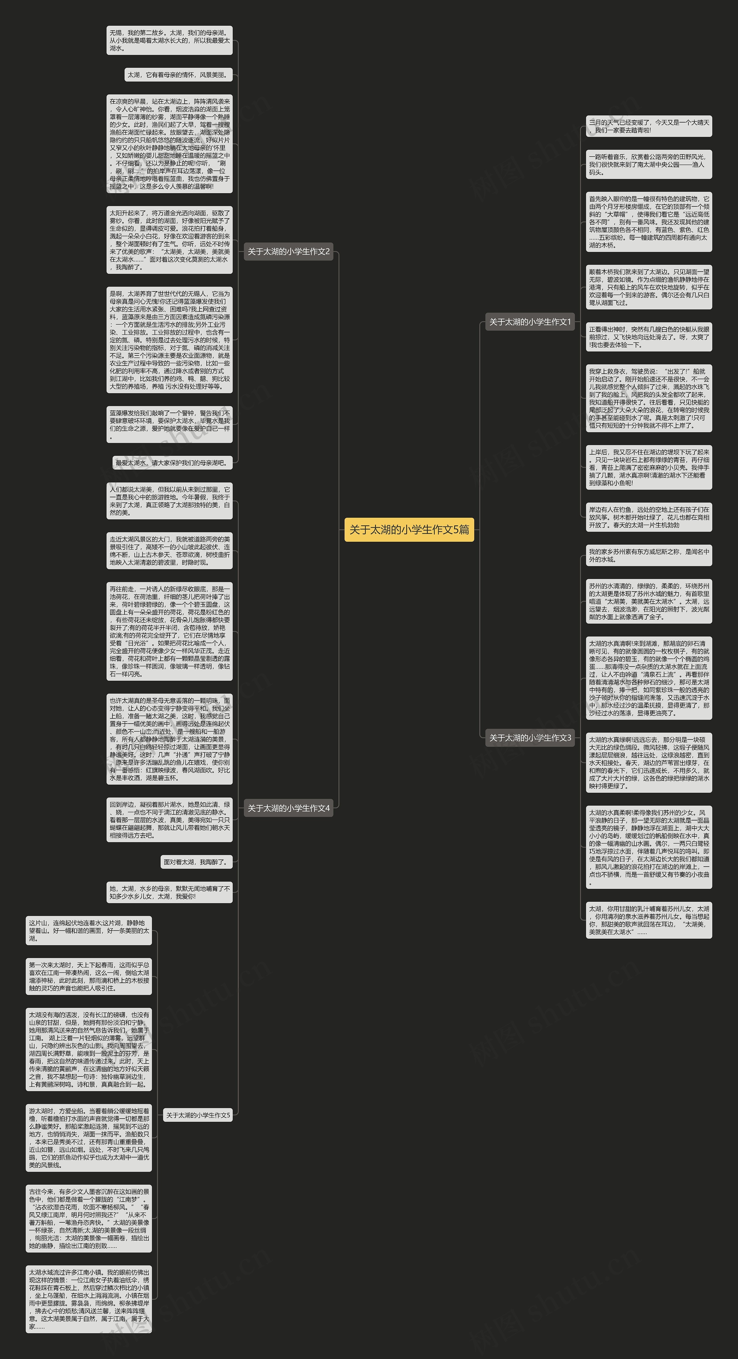 关于太湖的小学生作文5篇思维导图
