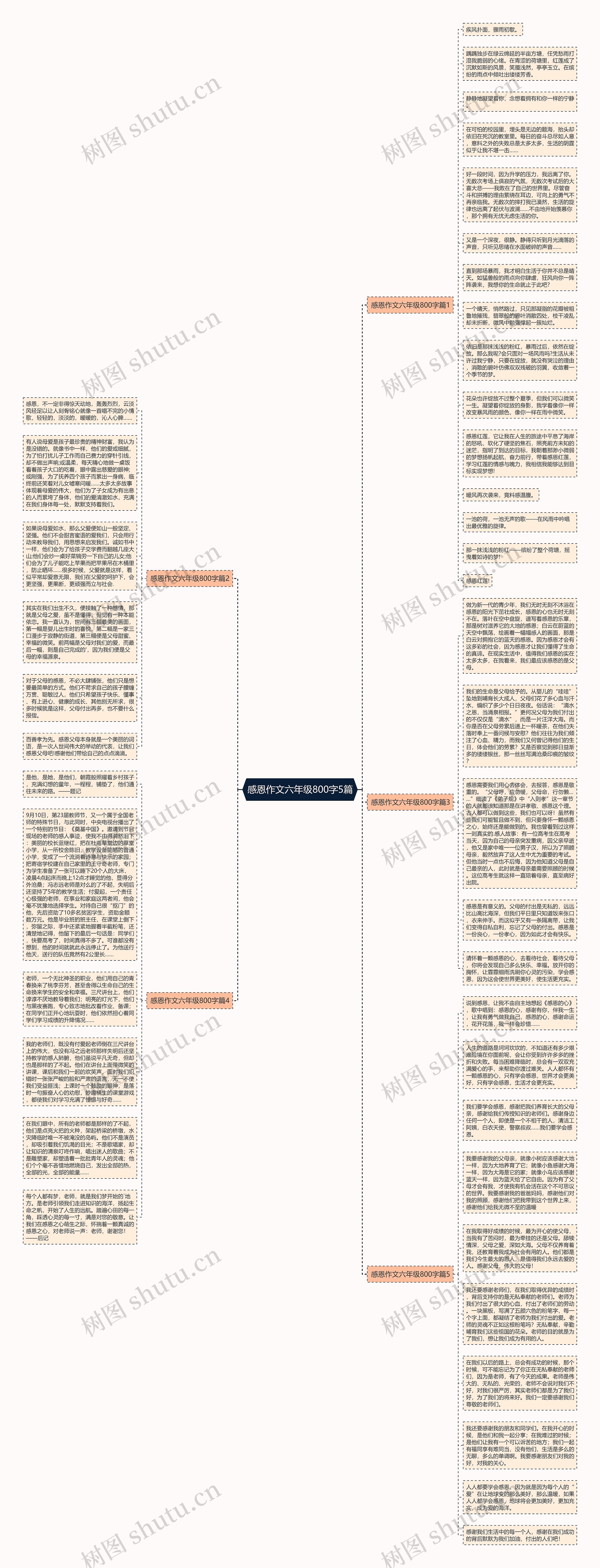 感恩作文六年级800字5篇思维导图