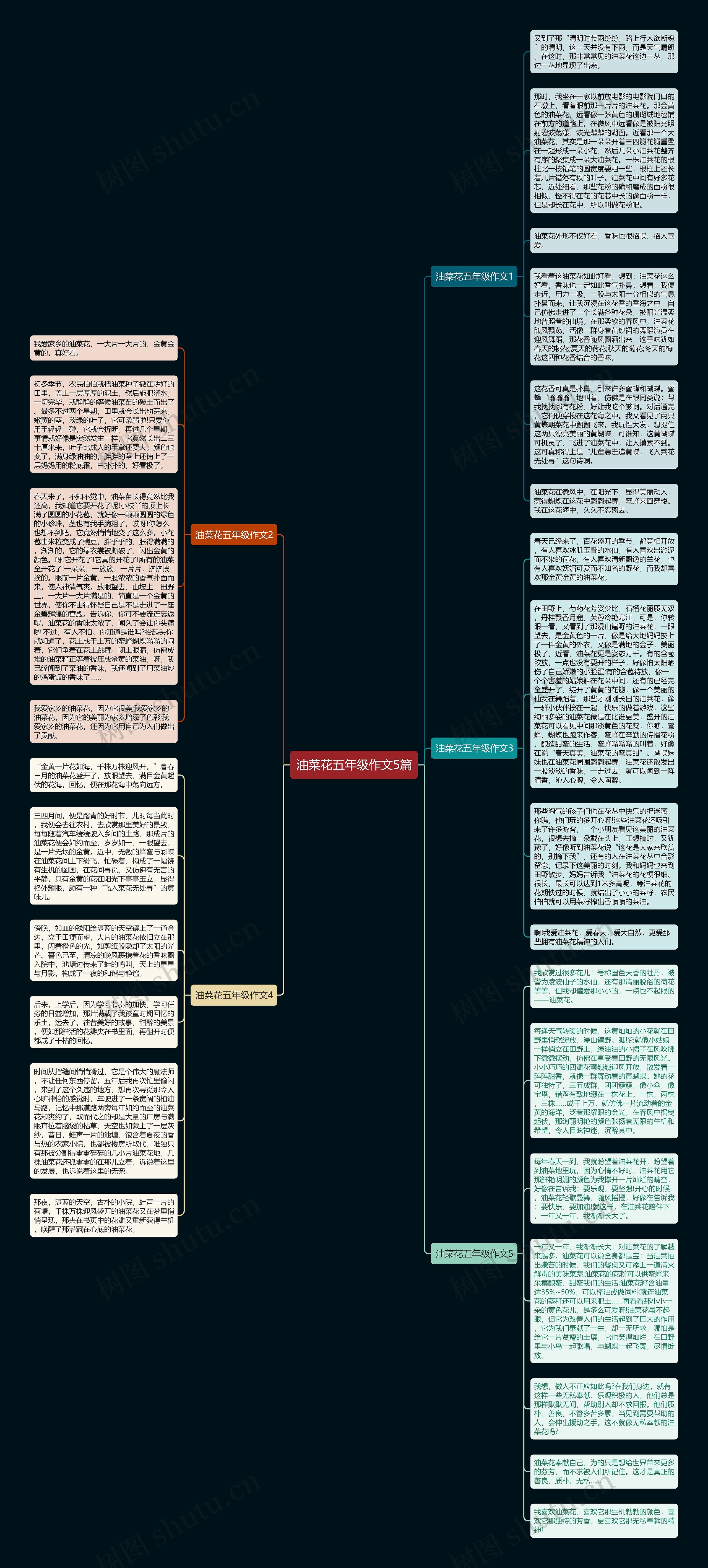 油菜花五年级作文5篇思维导图