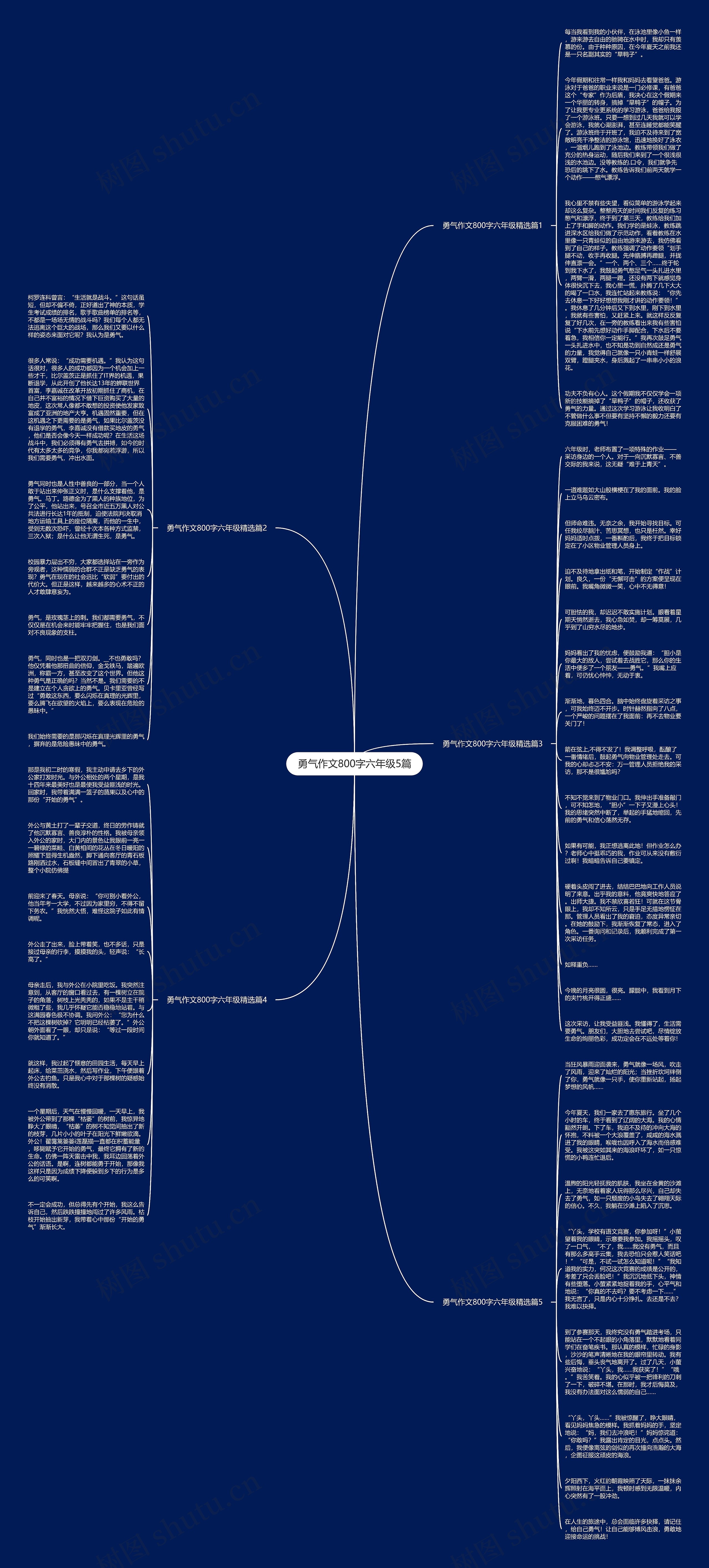 勇气作文800字六年级5篇思维导图