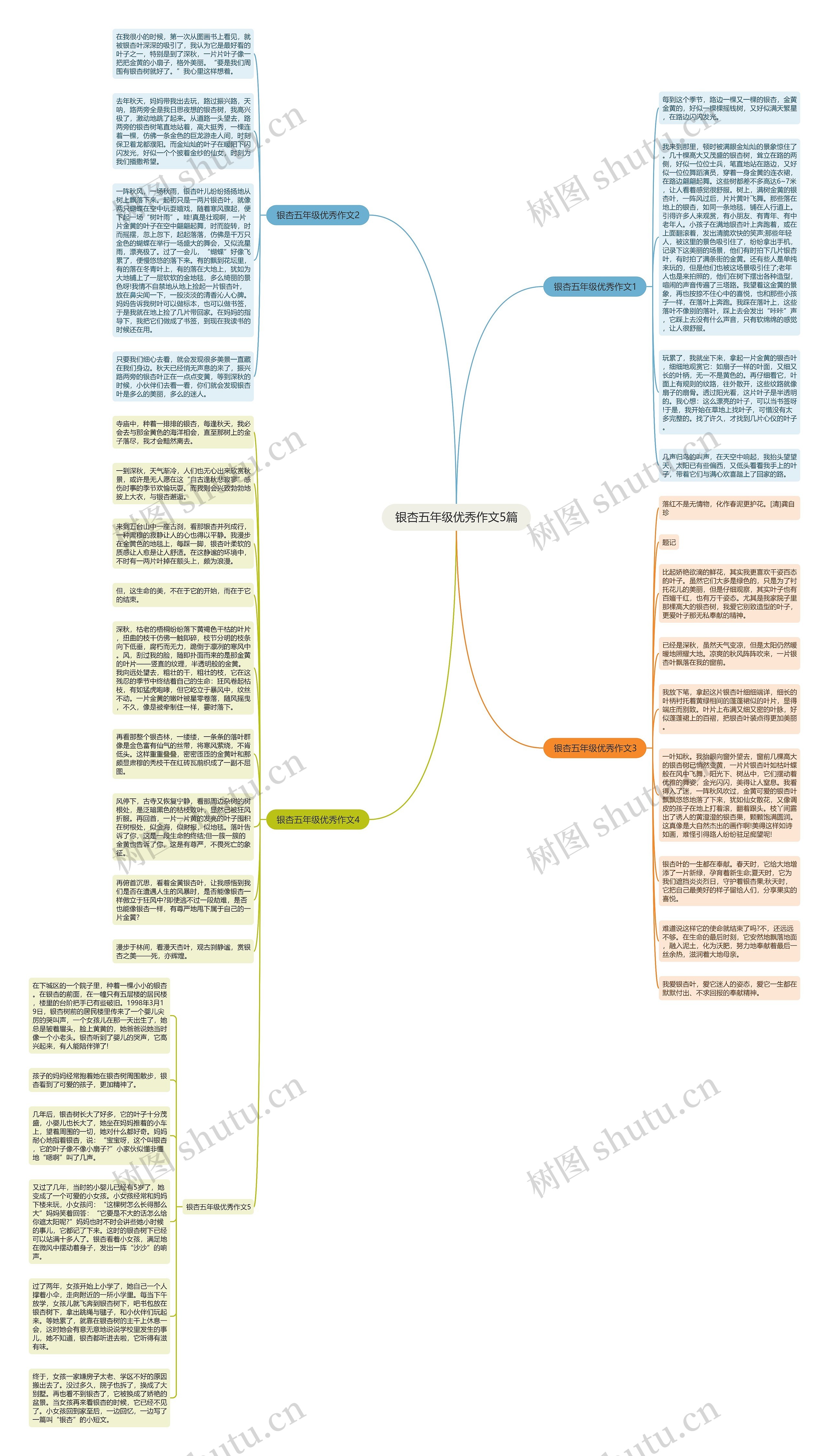 银杏五年级优秀作文5篇思维导图